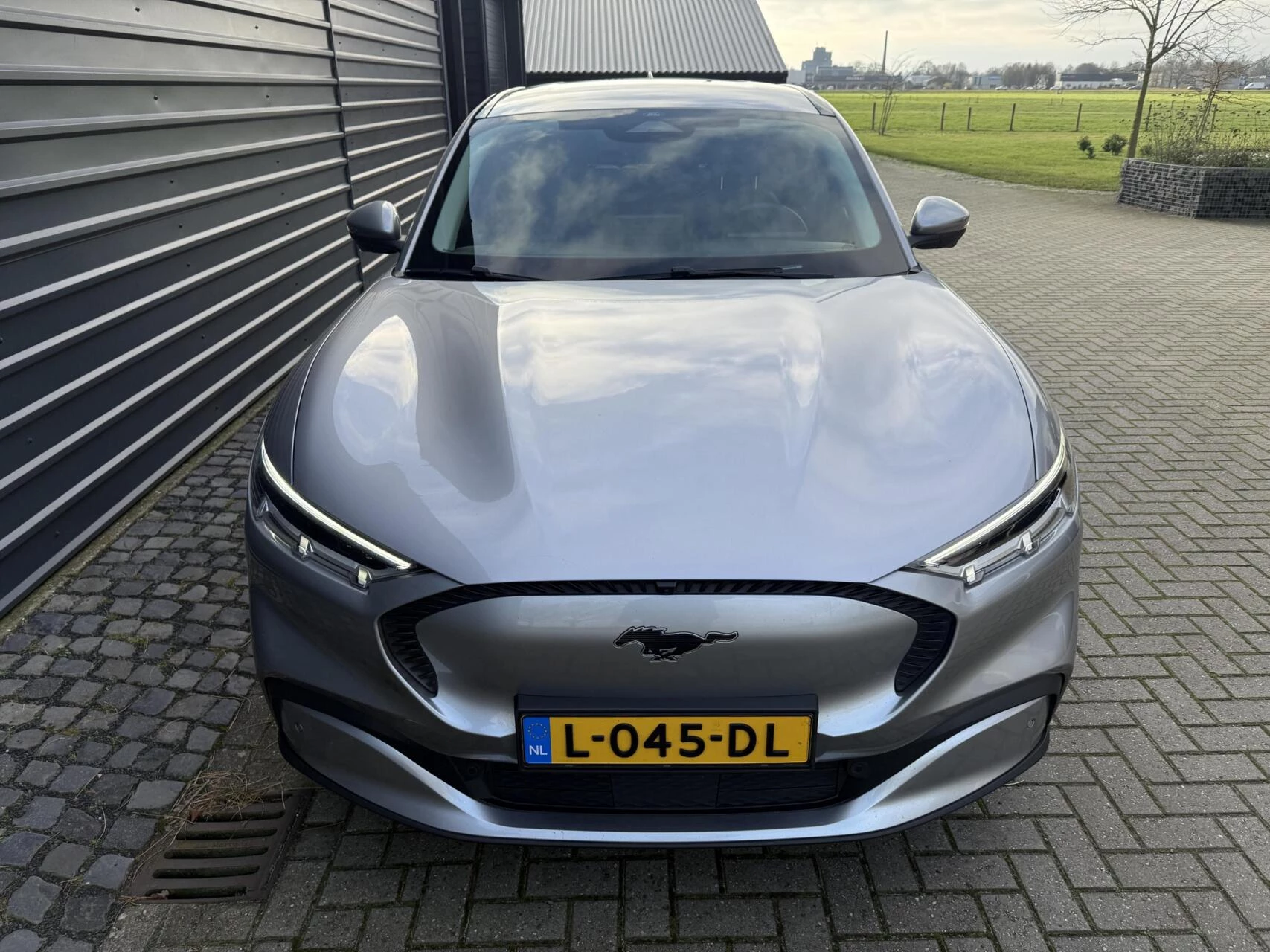 Hoofdafbeelding Ford Mustang Mach-E