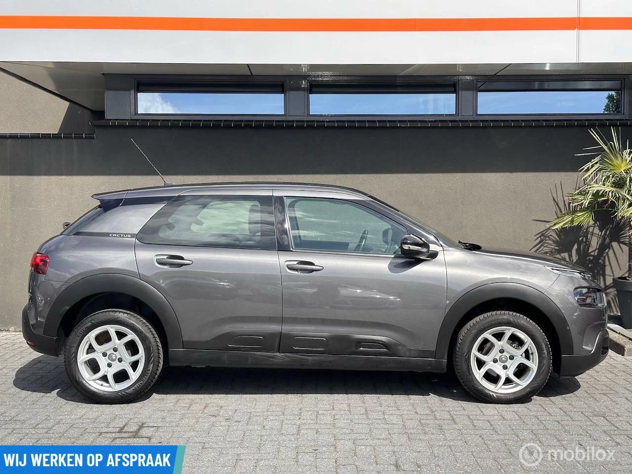 Hoofdafbeelding Citroën C4 Cactus