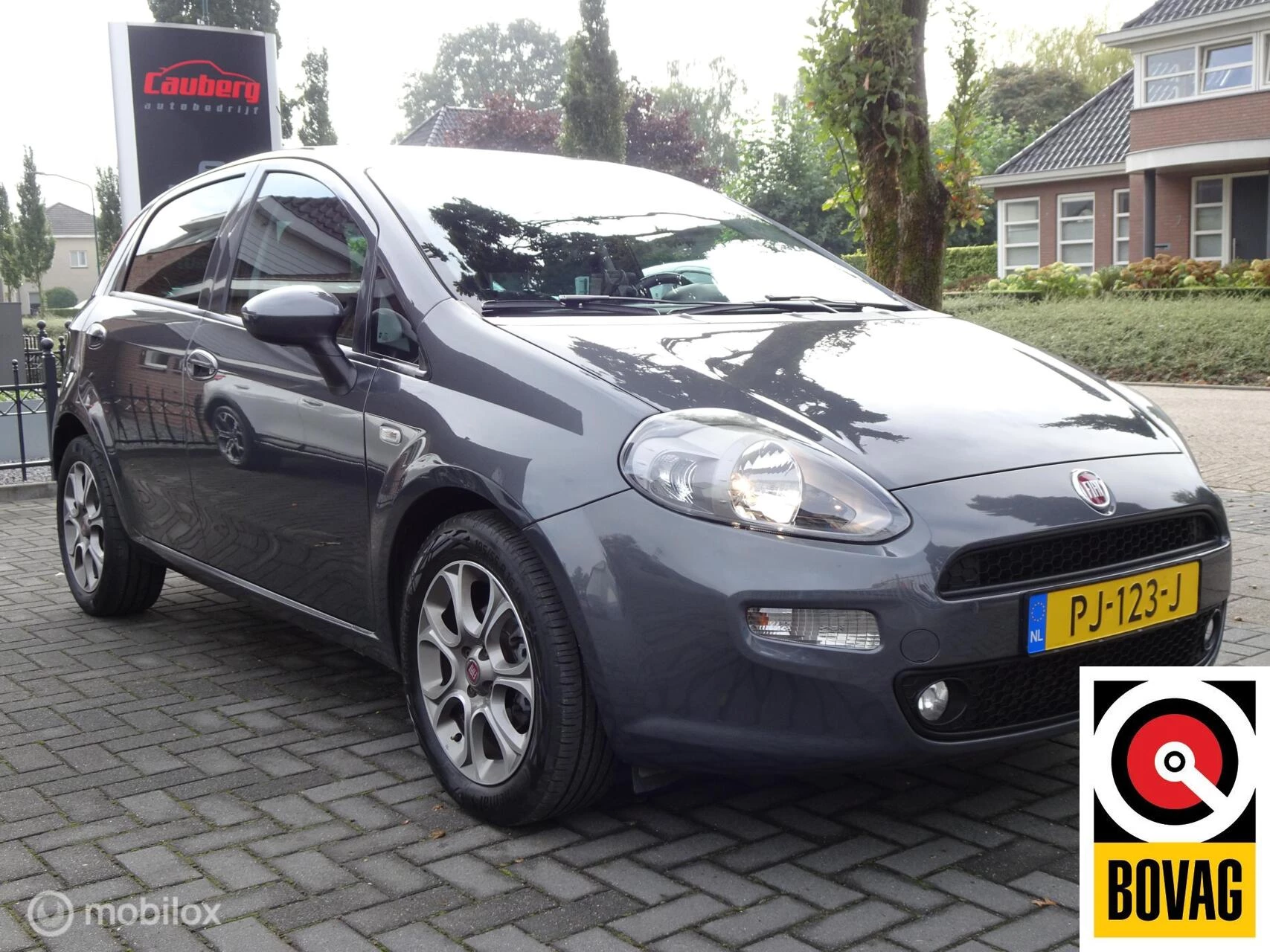 Hoofdafbeelding Fiat Punto