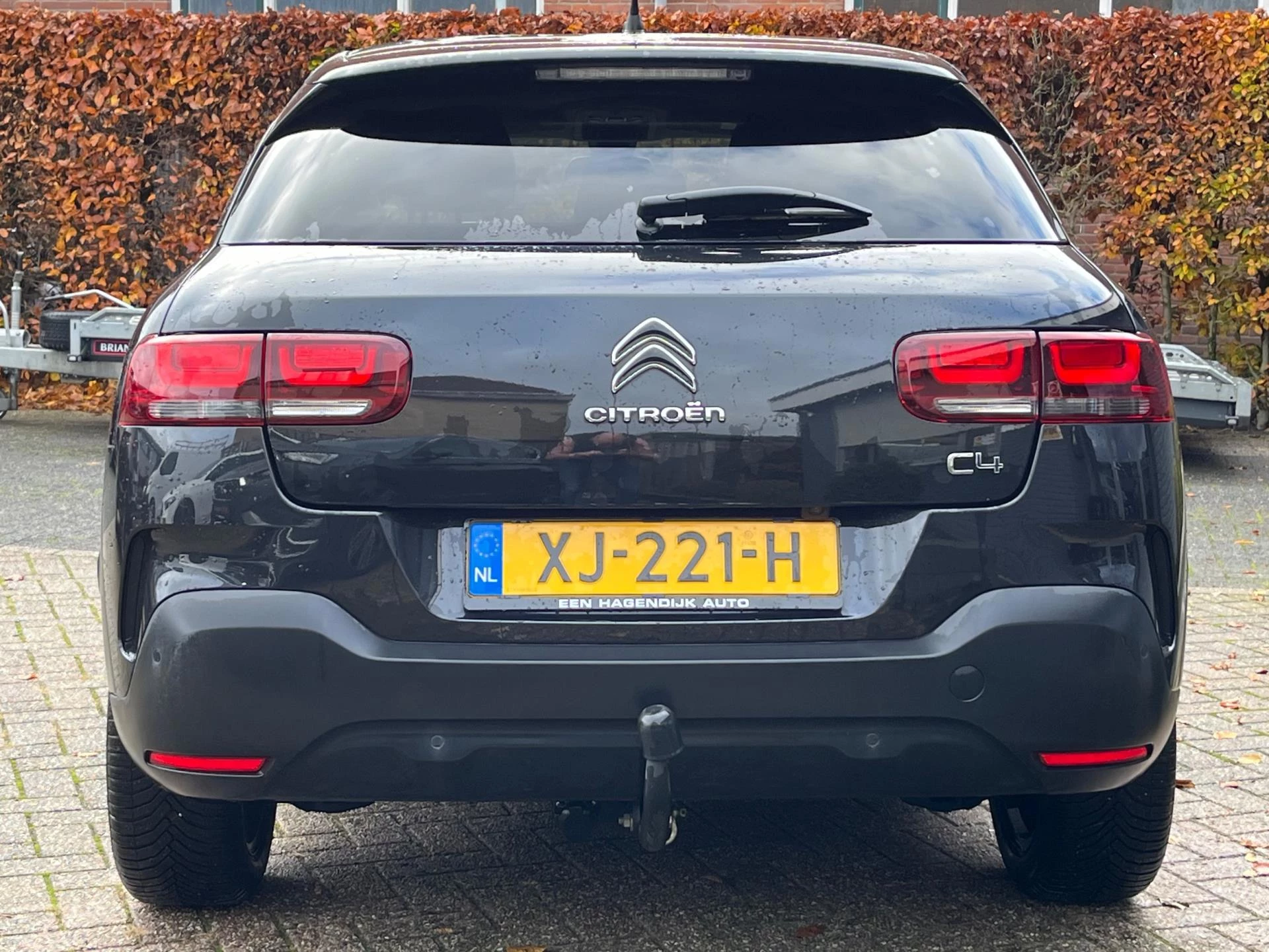 Hoofdafbeelding Citroën C4 Cactus