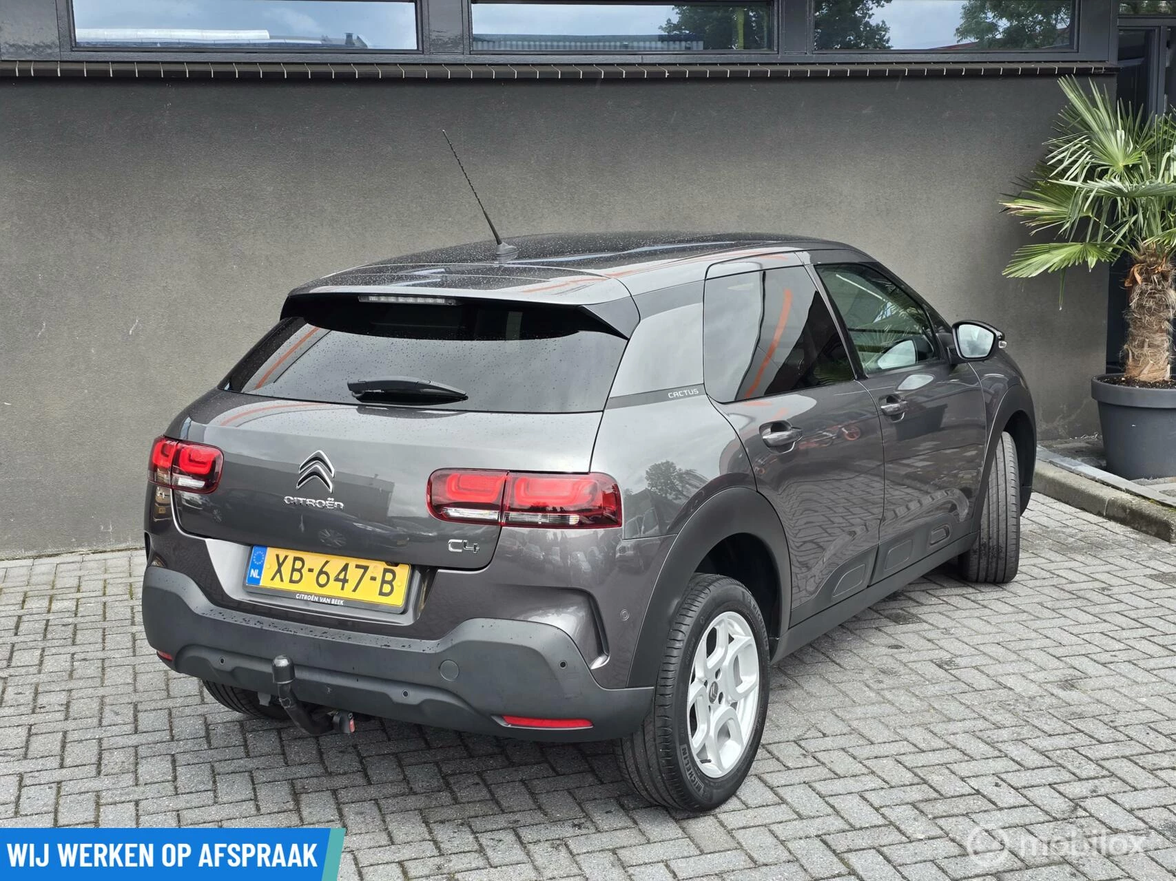 Hoofdafbeelding Citroën C4 Cactus