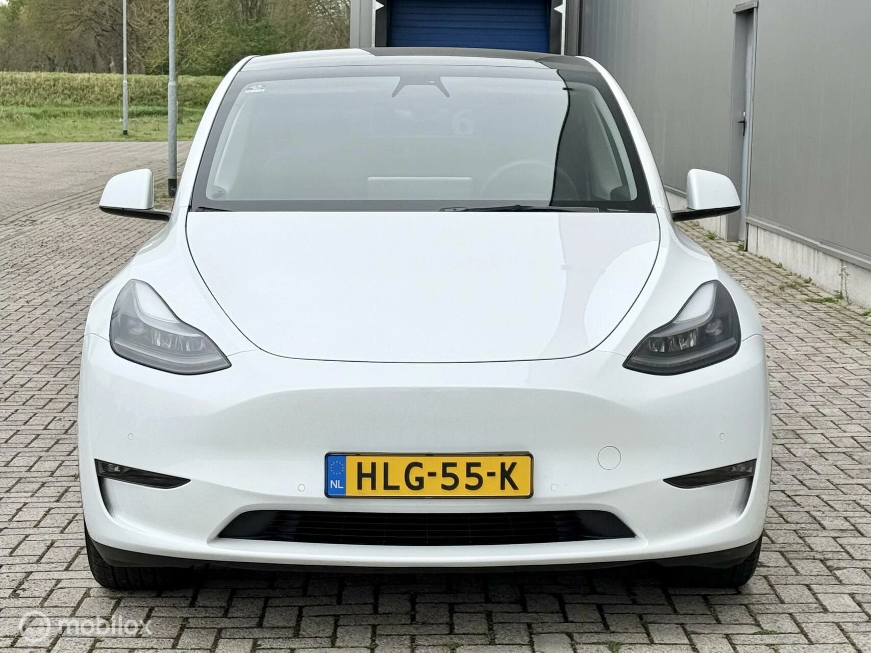 Hoofdafbeelding Tesla Model Y