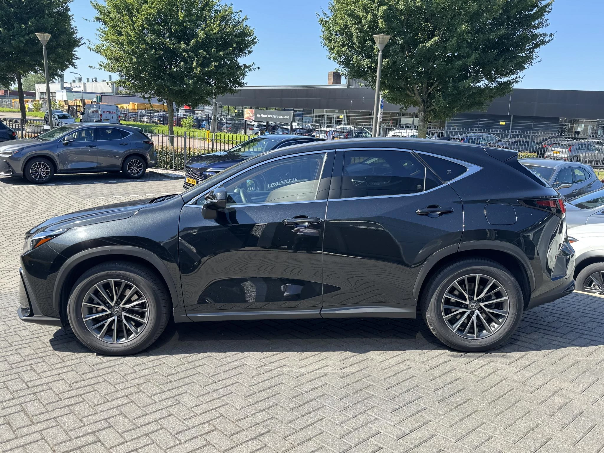 Hoofdafbeelding Lexus NX