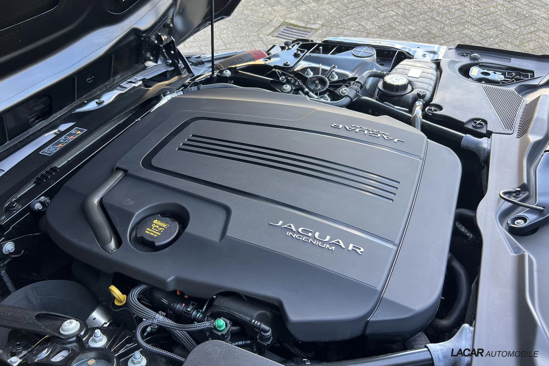 Hoofdafbeelding Jaguar F-Type