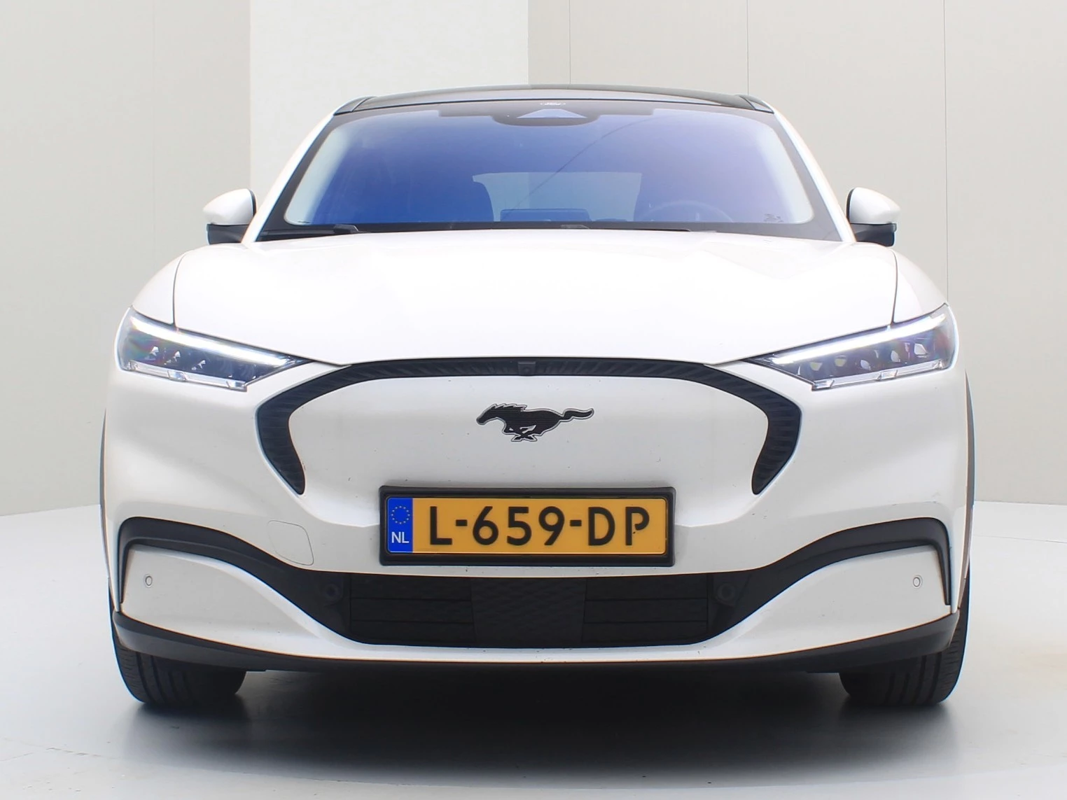 Hoofdafbeelding Ford Mustang Mach-E