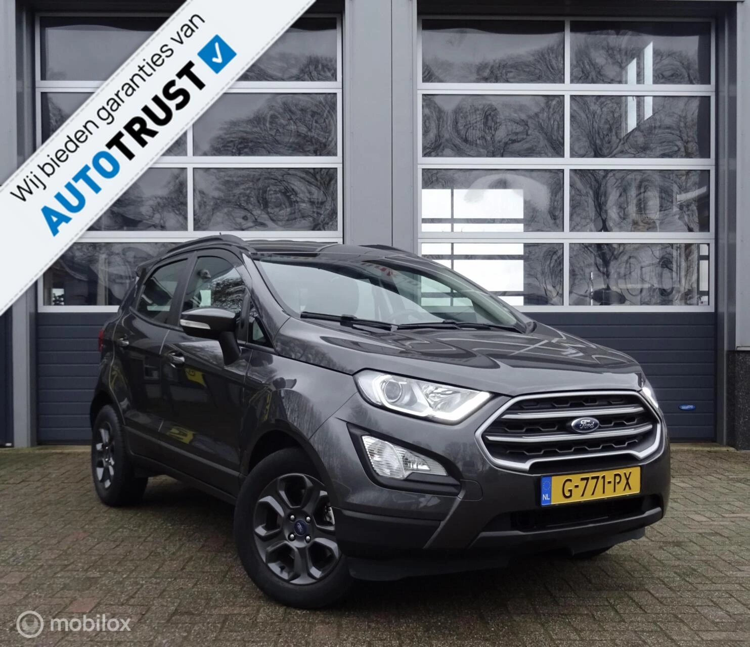 Hoofdafbeelding Ford EcoSport
