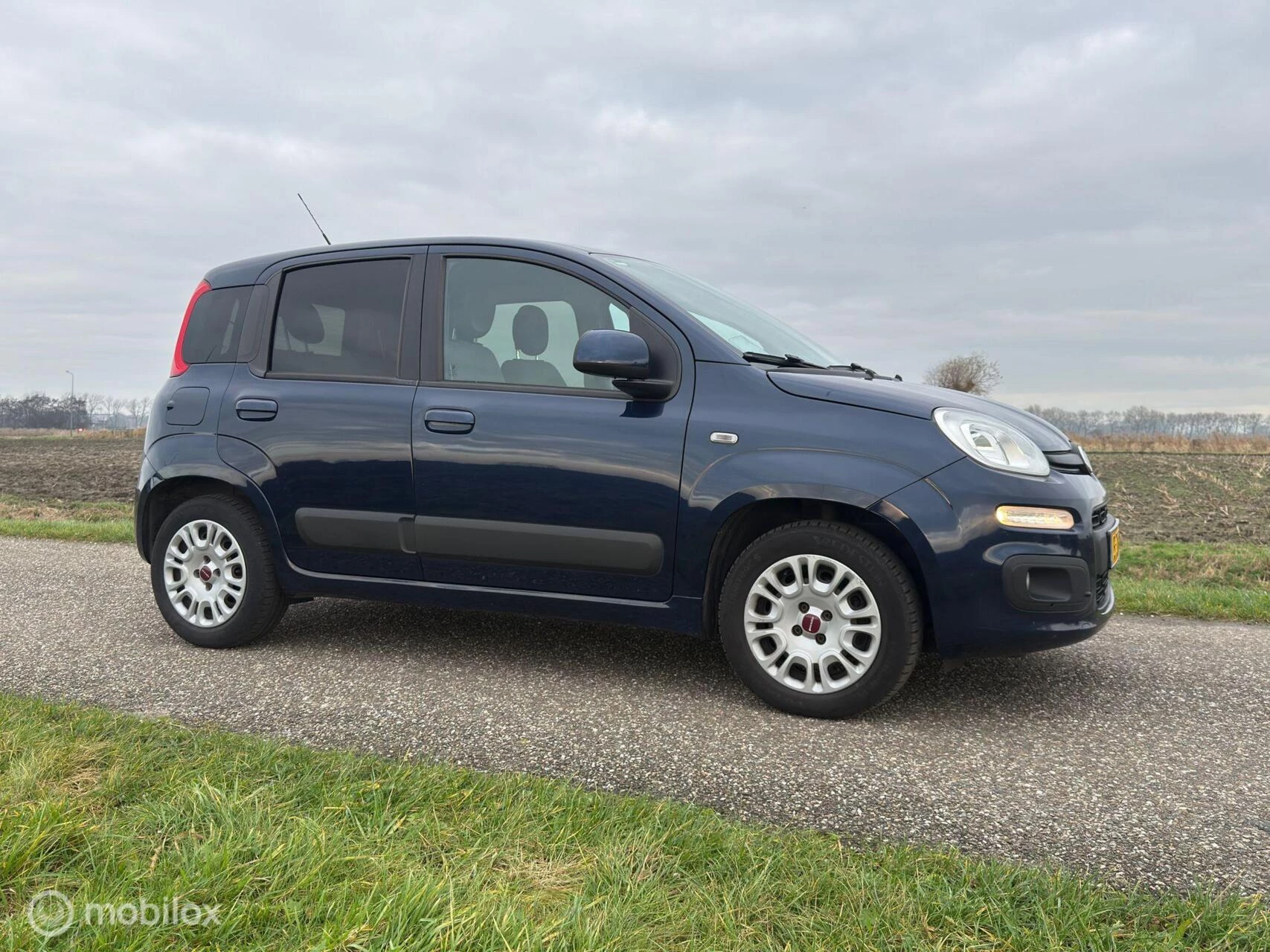 Hoofdafbeelding Fiat Panda