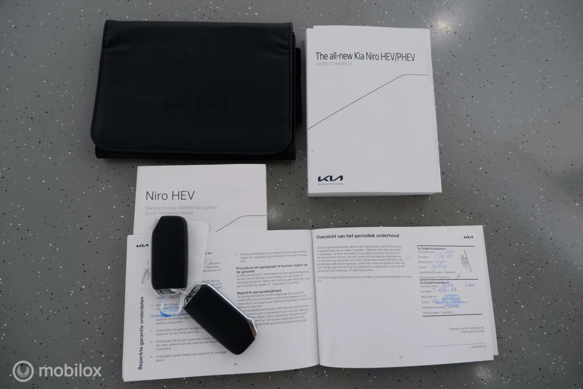 Hoofdafbeelding Kia Niro