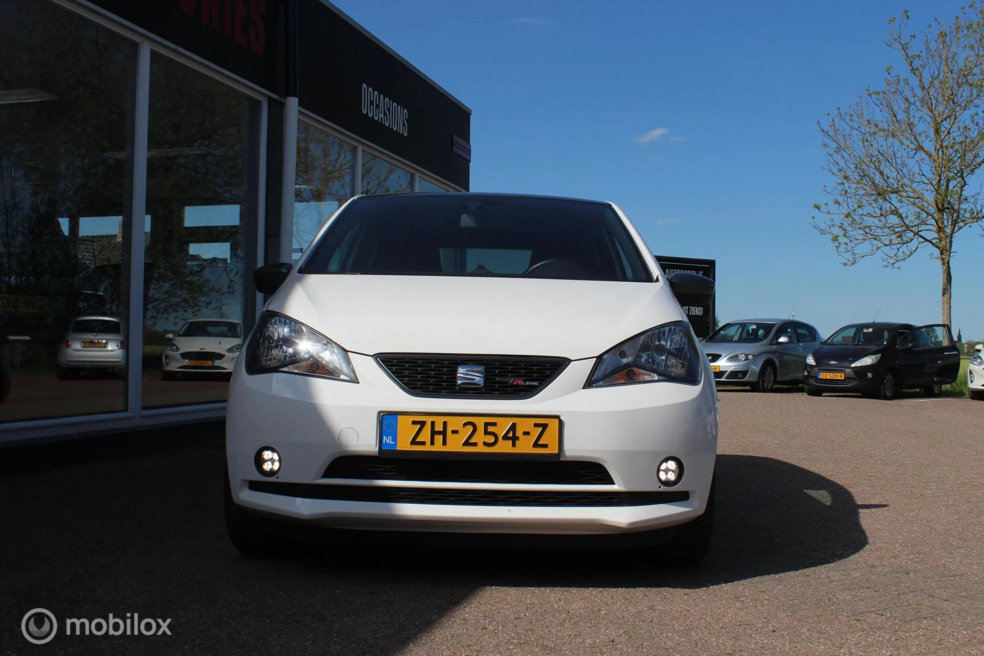 Hoofdafbeelding SEAT Mii