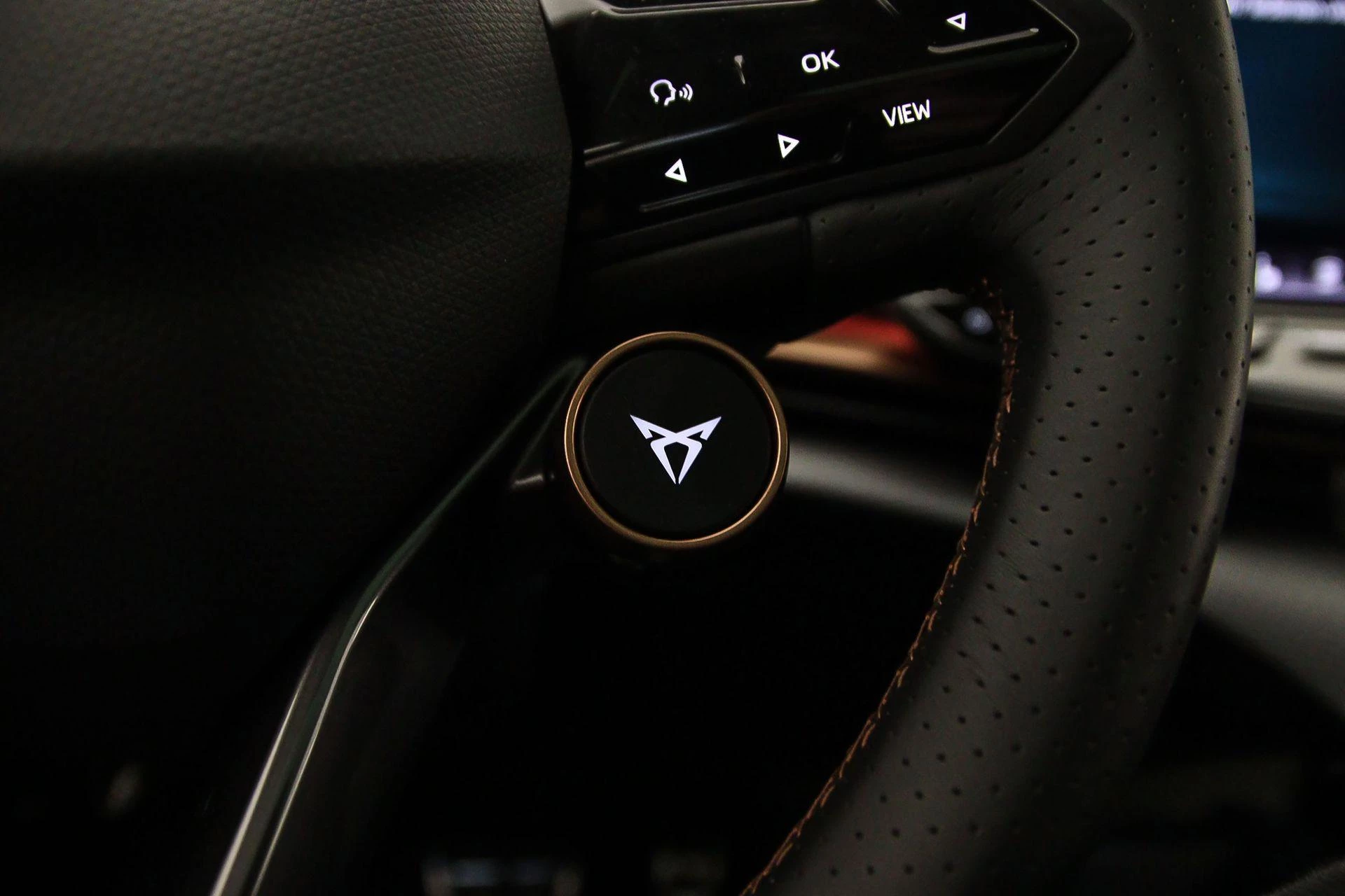 Hoofdafbeelding CUPRA Tavascan