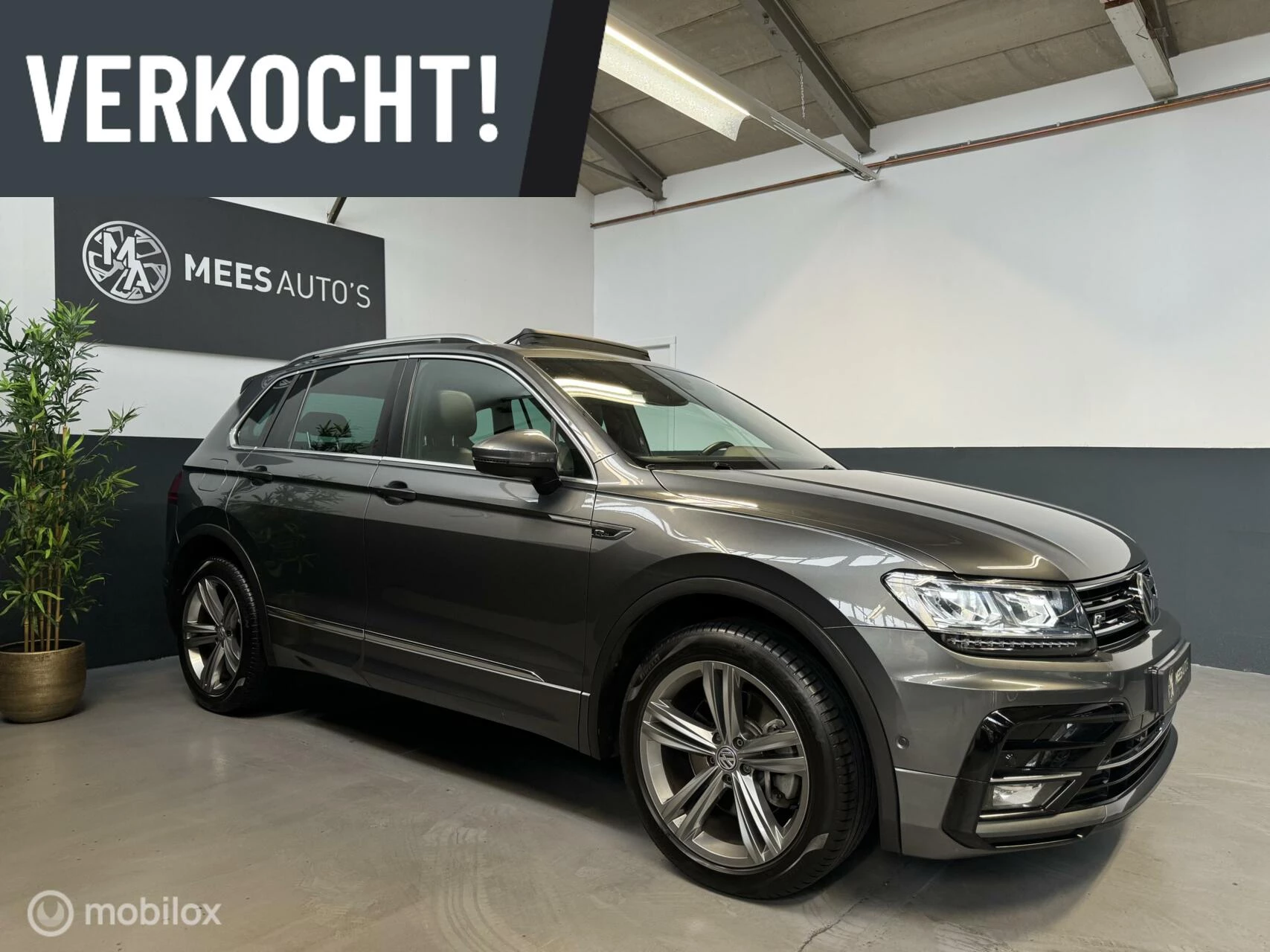 Hoofdafbeelding Volkswagen Tiguan