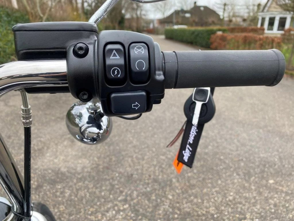 Hoofdafbeelding Harley-Davidson Softail