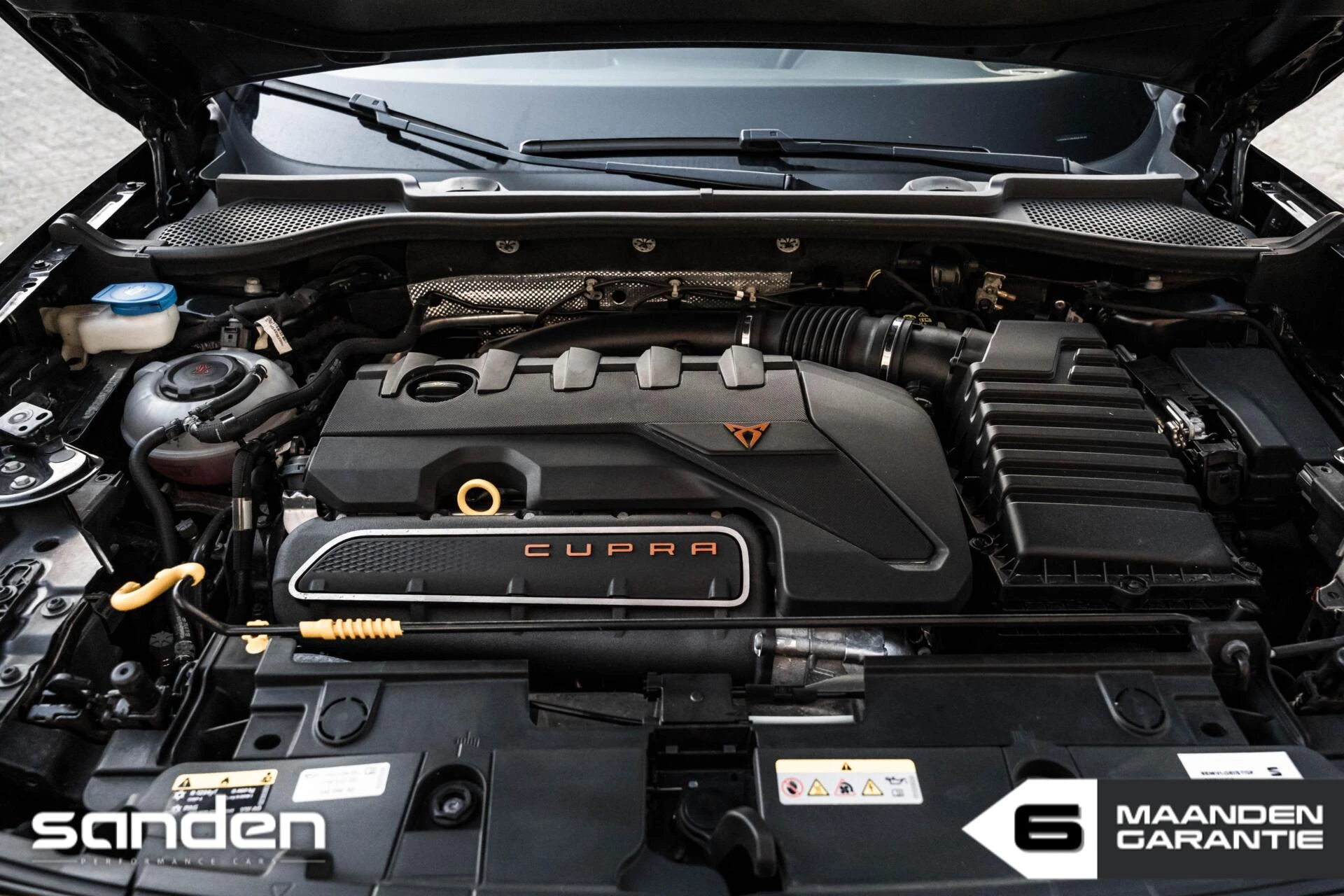 Hoofdafbeelding CUPRA Formentor