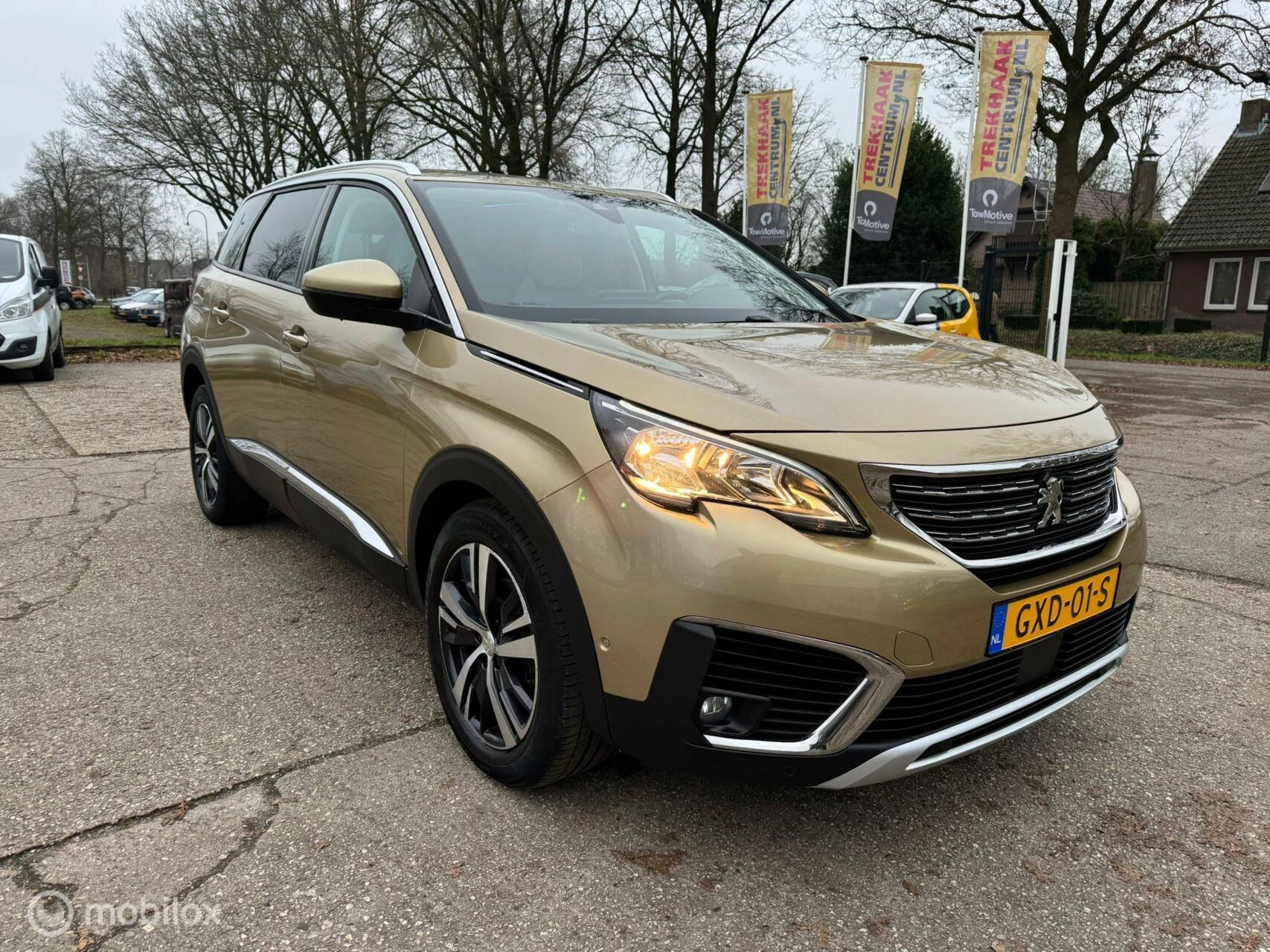 Hoofdafbeelding Peugeot 5008