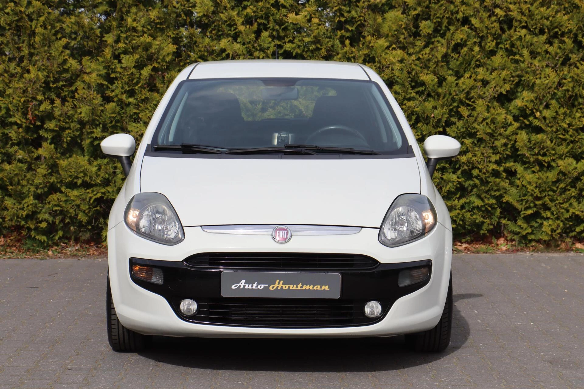 Hoofdafbeelding Fiat Punto