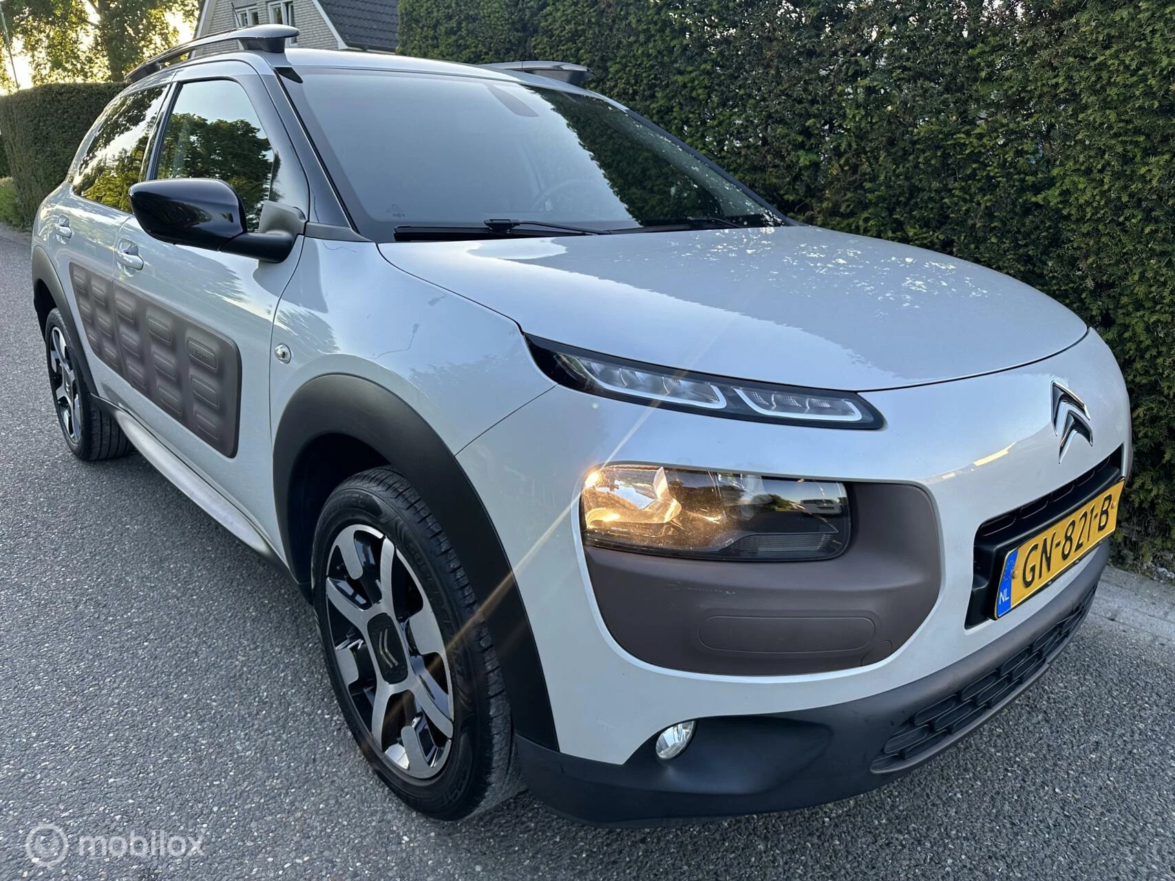 Hoofdafbeelding Citroën C4 Cactus