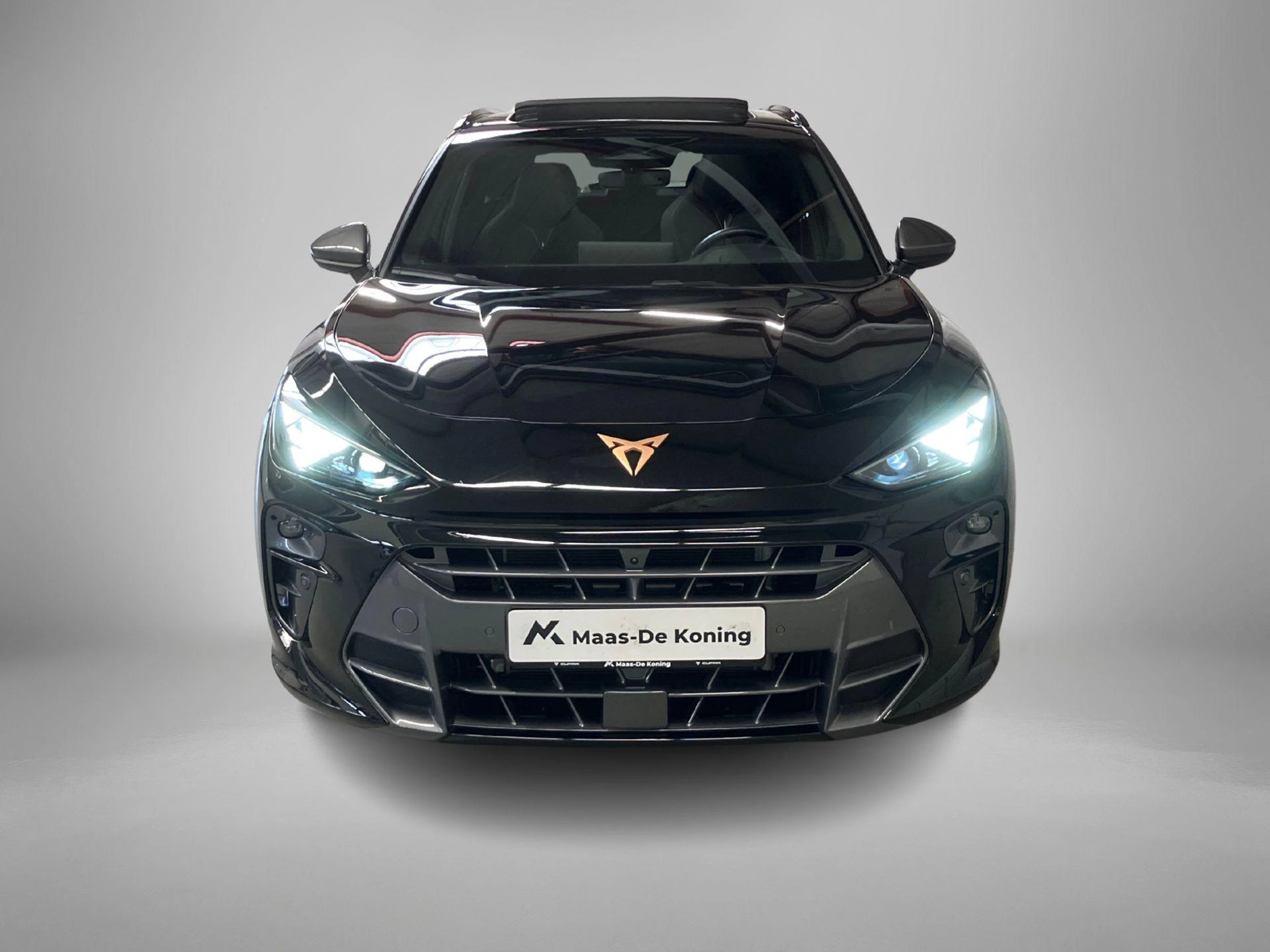 Hoofdafbeelding CUPRA Terramar