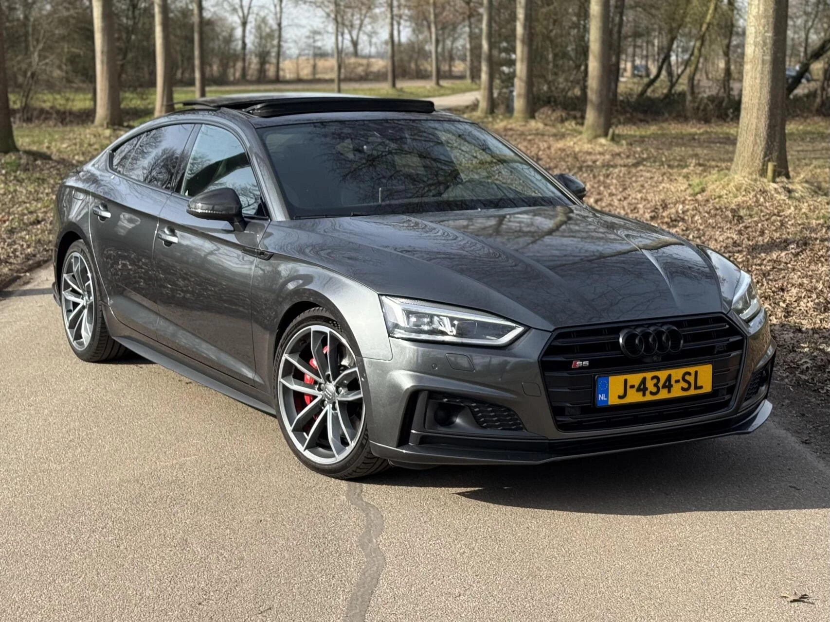 Hoofdafbeelding Audi S5