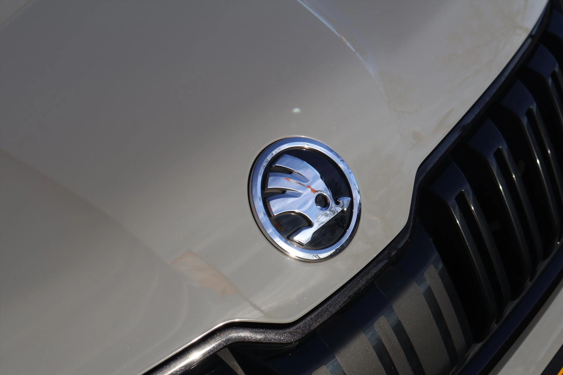 Hoofdafbeelding Škoda Kodiaq