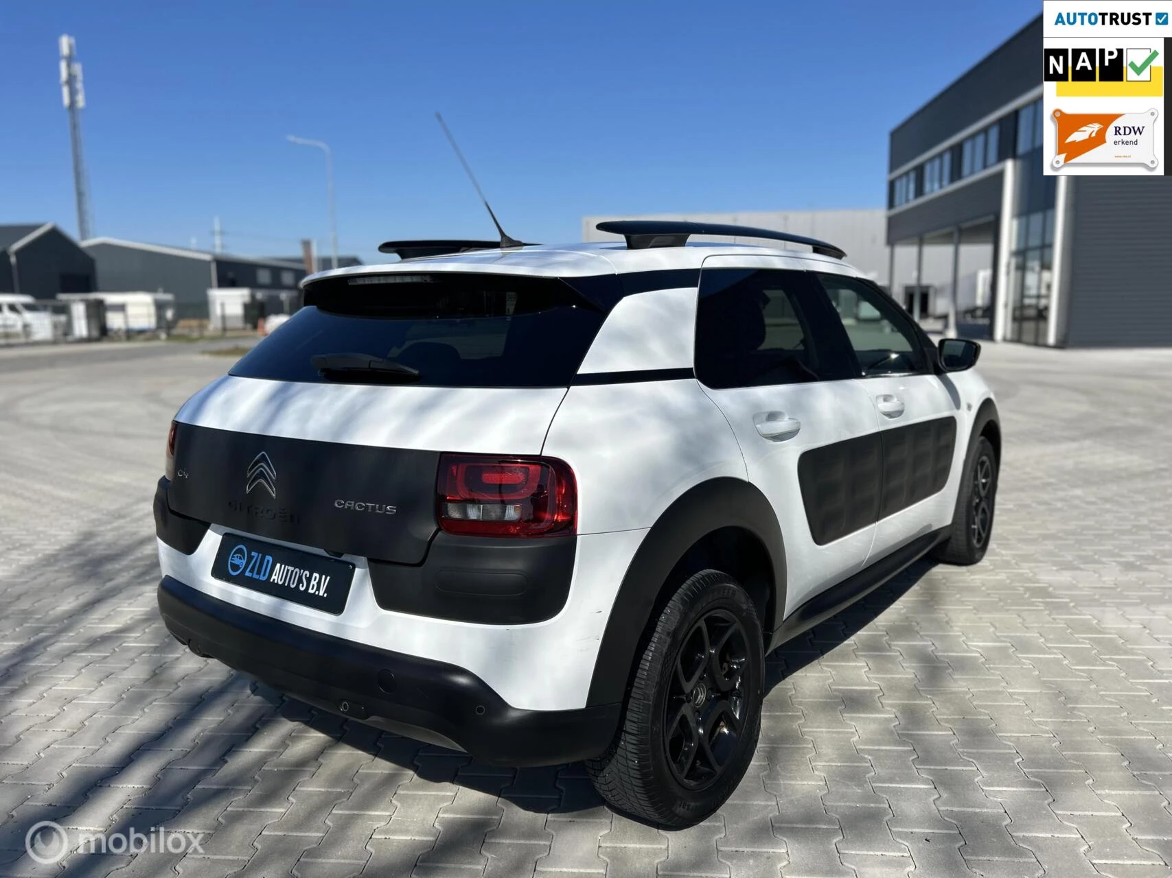 Hoofdafbeelding Citroën C4 Cactus