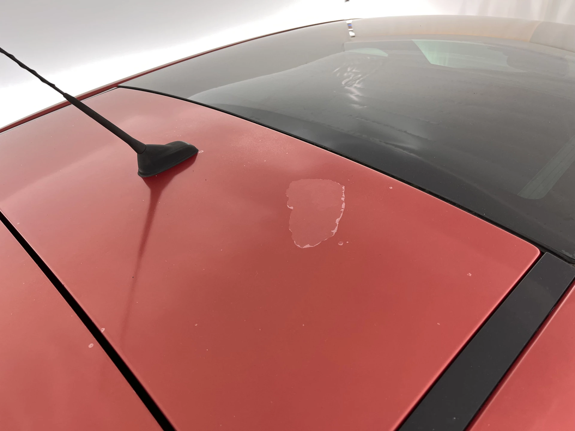 Hoofdafbeelding Citroën C4