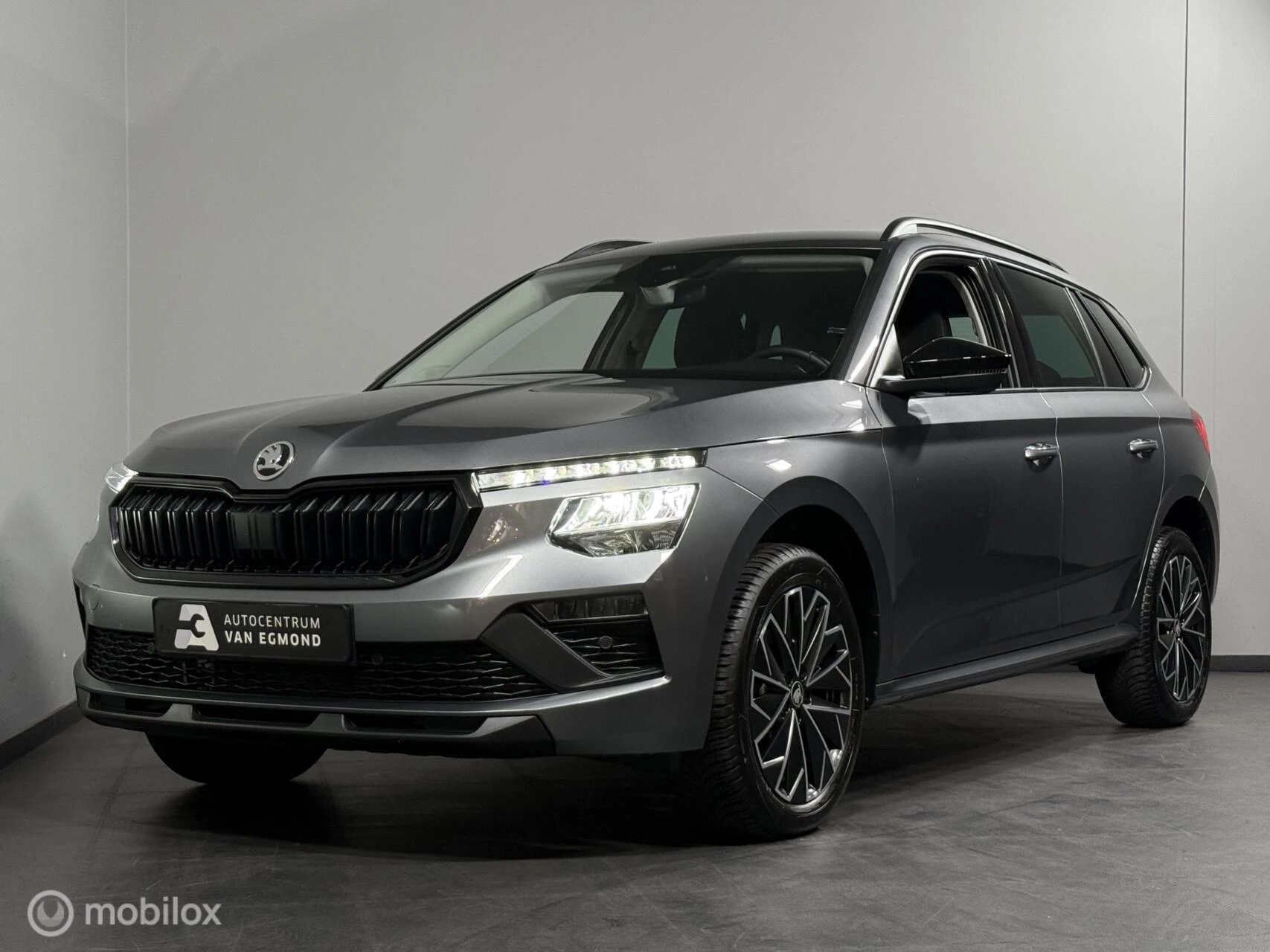 Hoofdafbeelding Škoda Kamiq