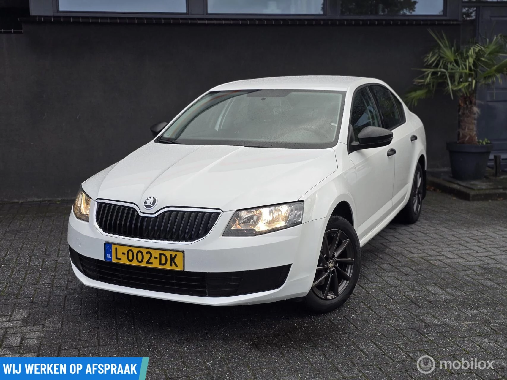 Hoofdafbeelding Škoda Octavia