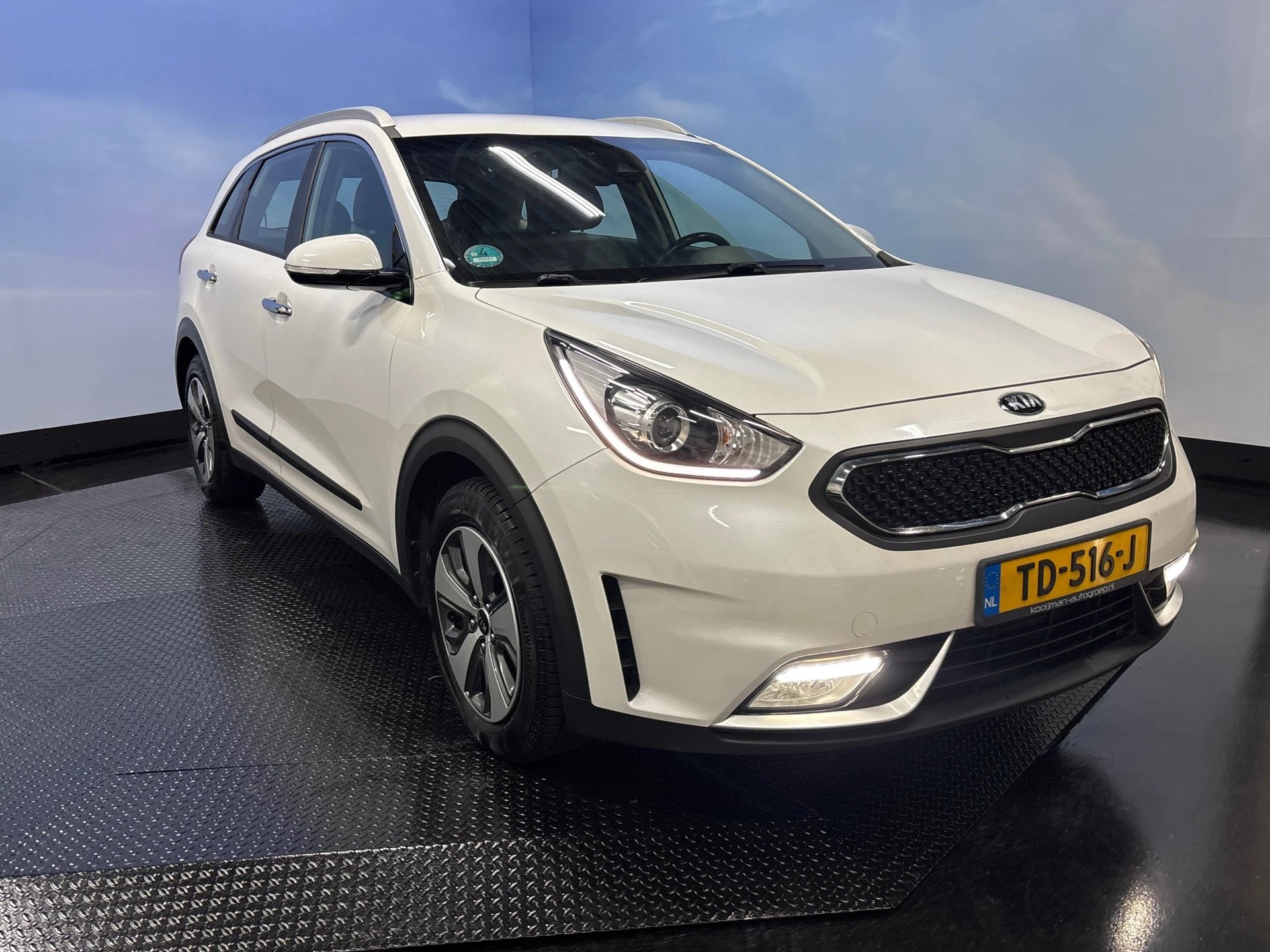 Hoofdafbeelding Kia Niro