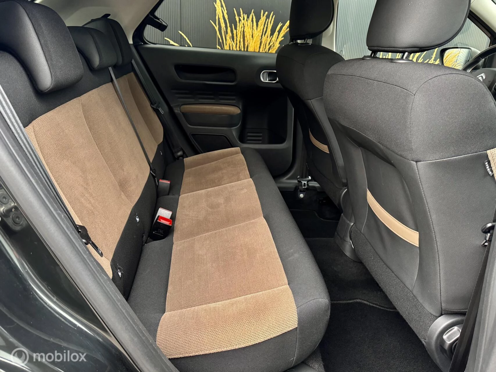 Hoofdafbeelding Citroën C4 Cactus