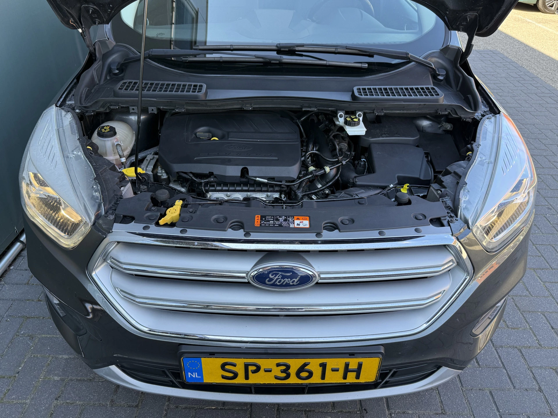 Hoofdafbeelding Ford Kuga