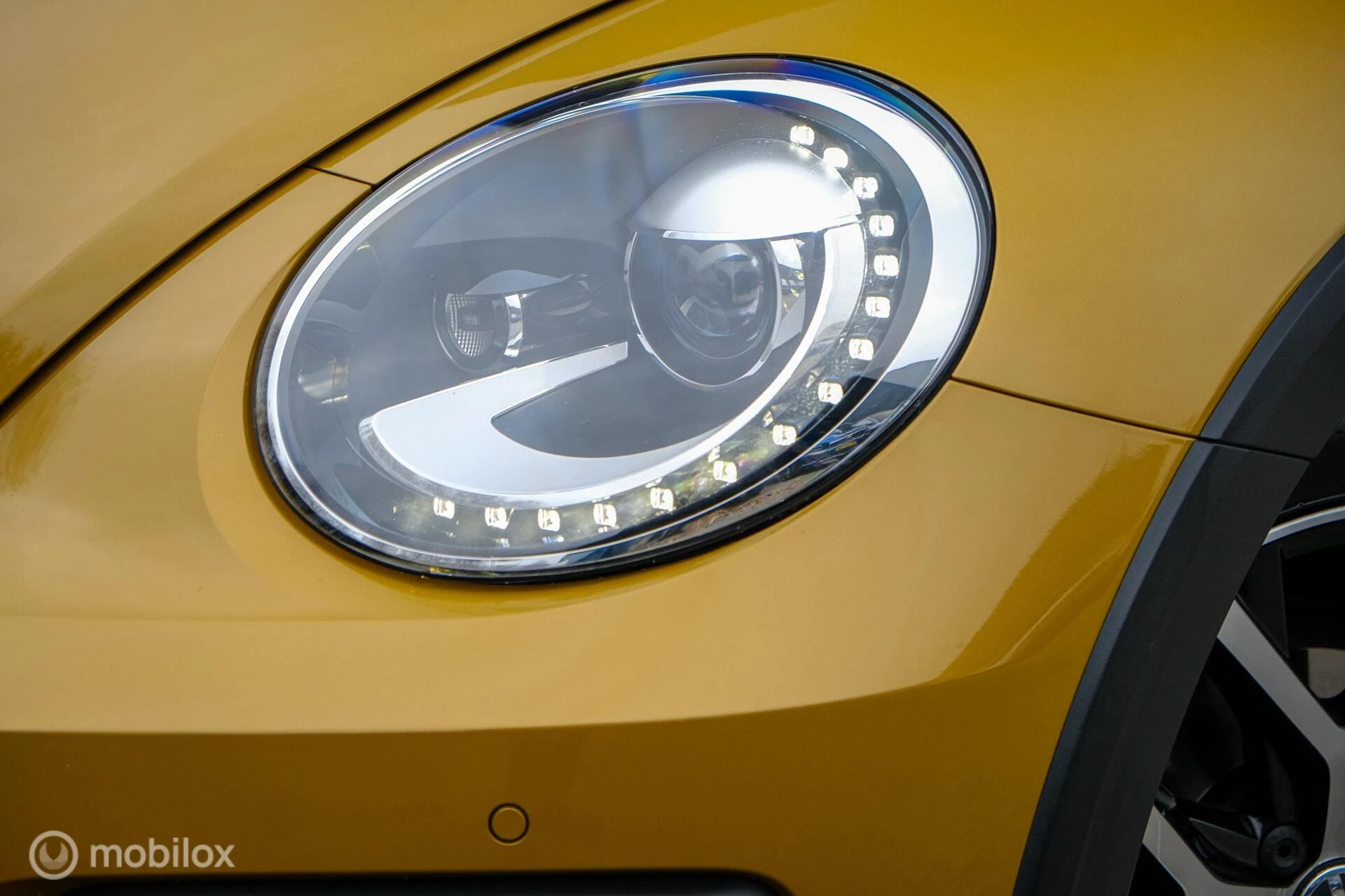 Hoofdafbeelding Volkswagen Beetle