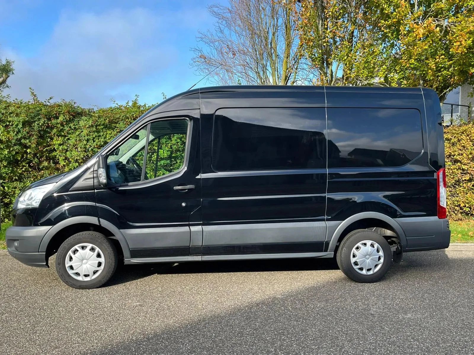 Hoofdafbeelding Ford Transit