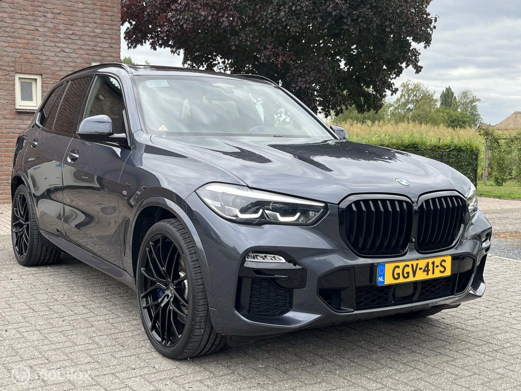 Hoofdafbeelding BMW X5