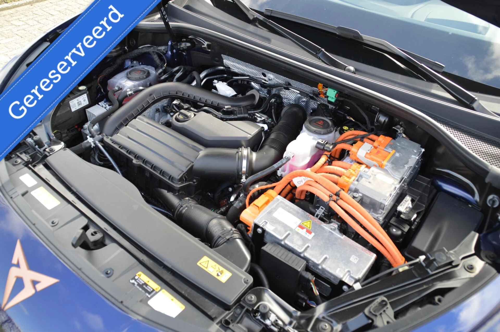 Hoofdafbeelding CUPRA Terramar