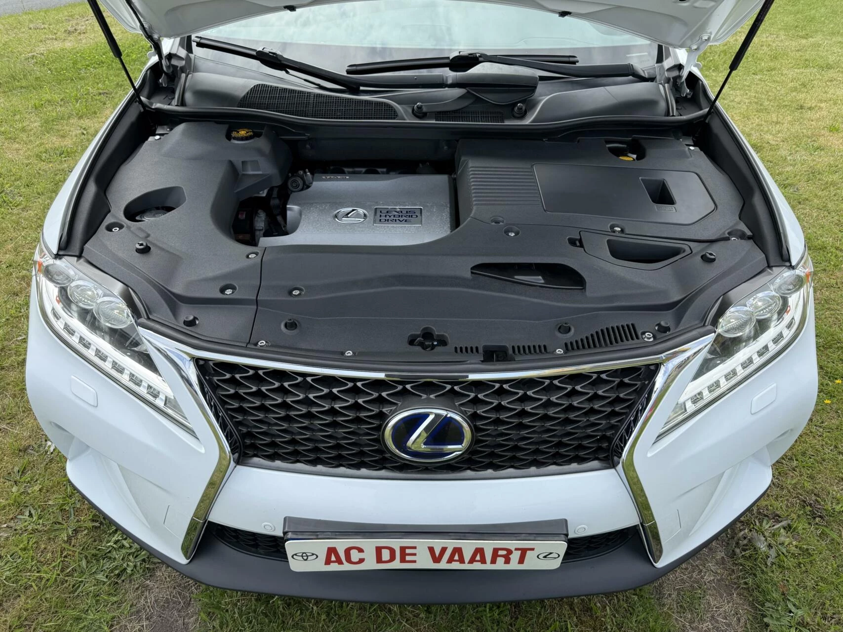 Hoofdafbeelding Lexus RX
