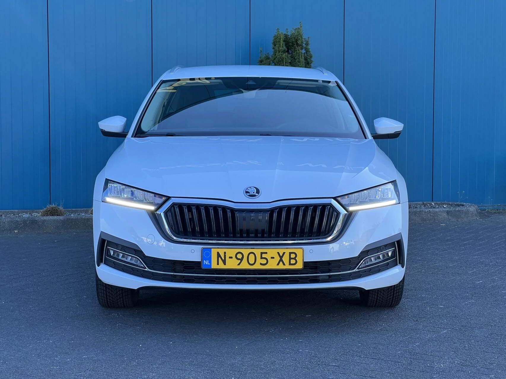 Hoofdafbeelding Škoda Octavia