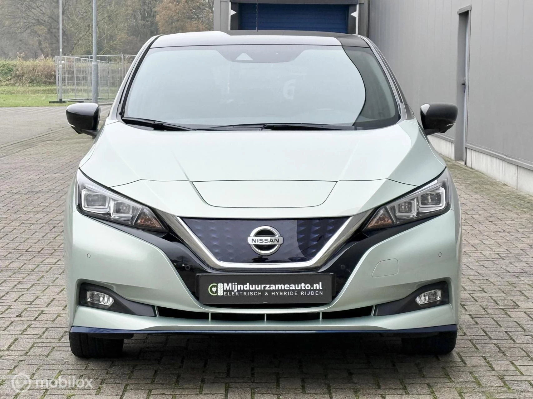 Hoofdafbeelding Nissan Leaf