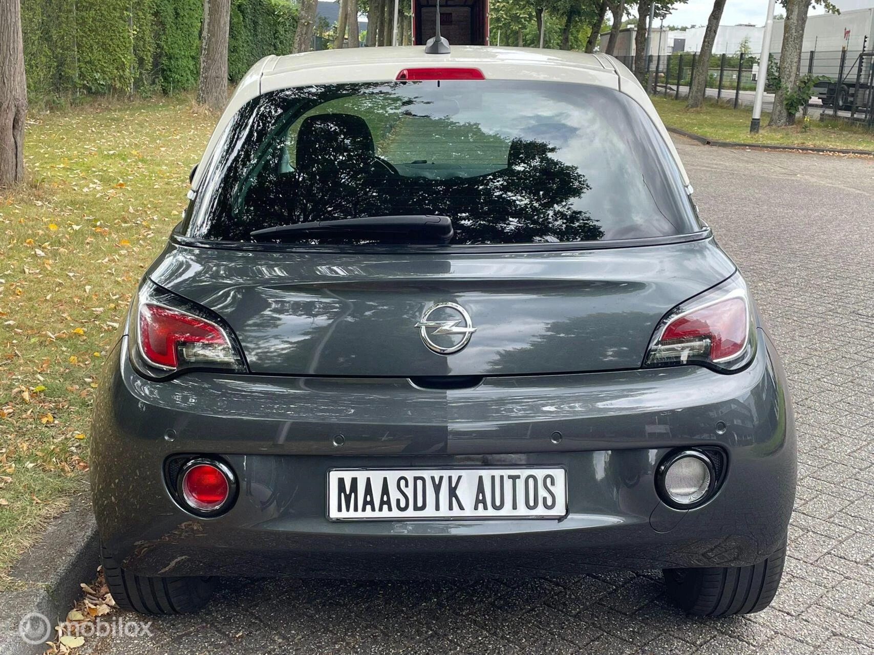 Hoofdafbeelding Opel ADAM