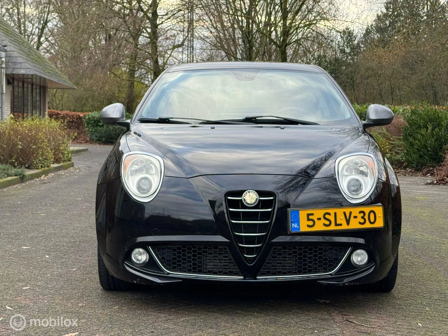 Hoofdafbeelding Alfa Romeo MiTo