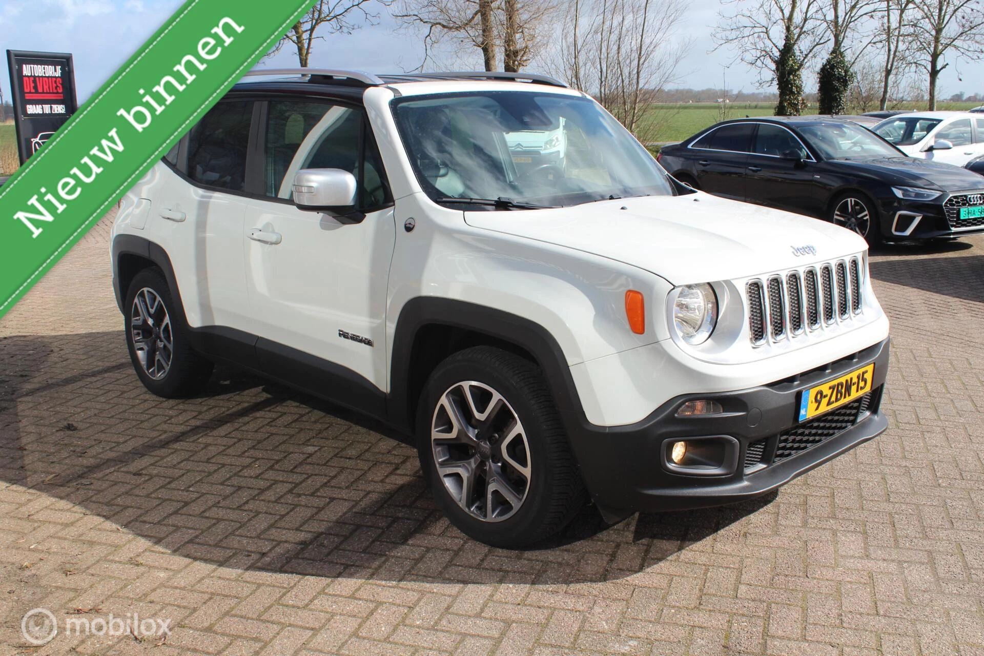 Hoofdafbeelding Jeep Renegade