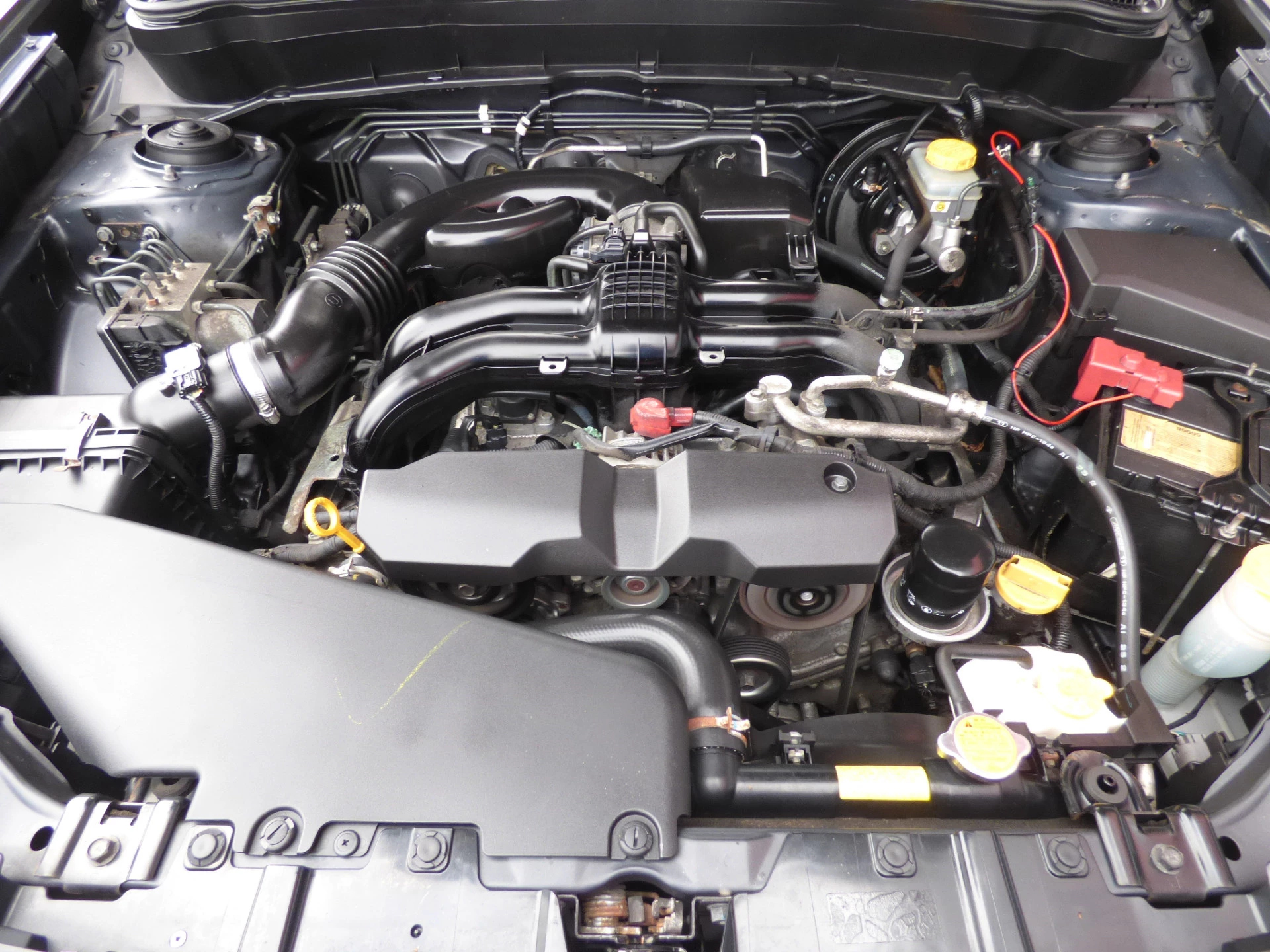 Hoofdafbeelding Subaru Forester