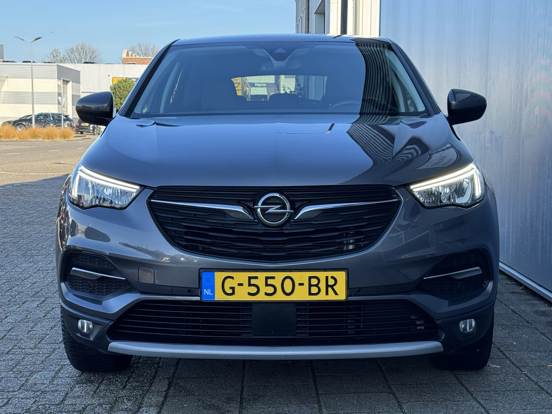 Hoofdafbeelding Opel Grandland X