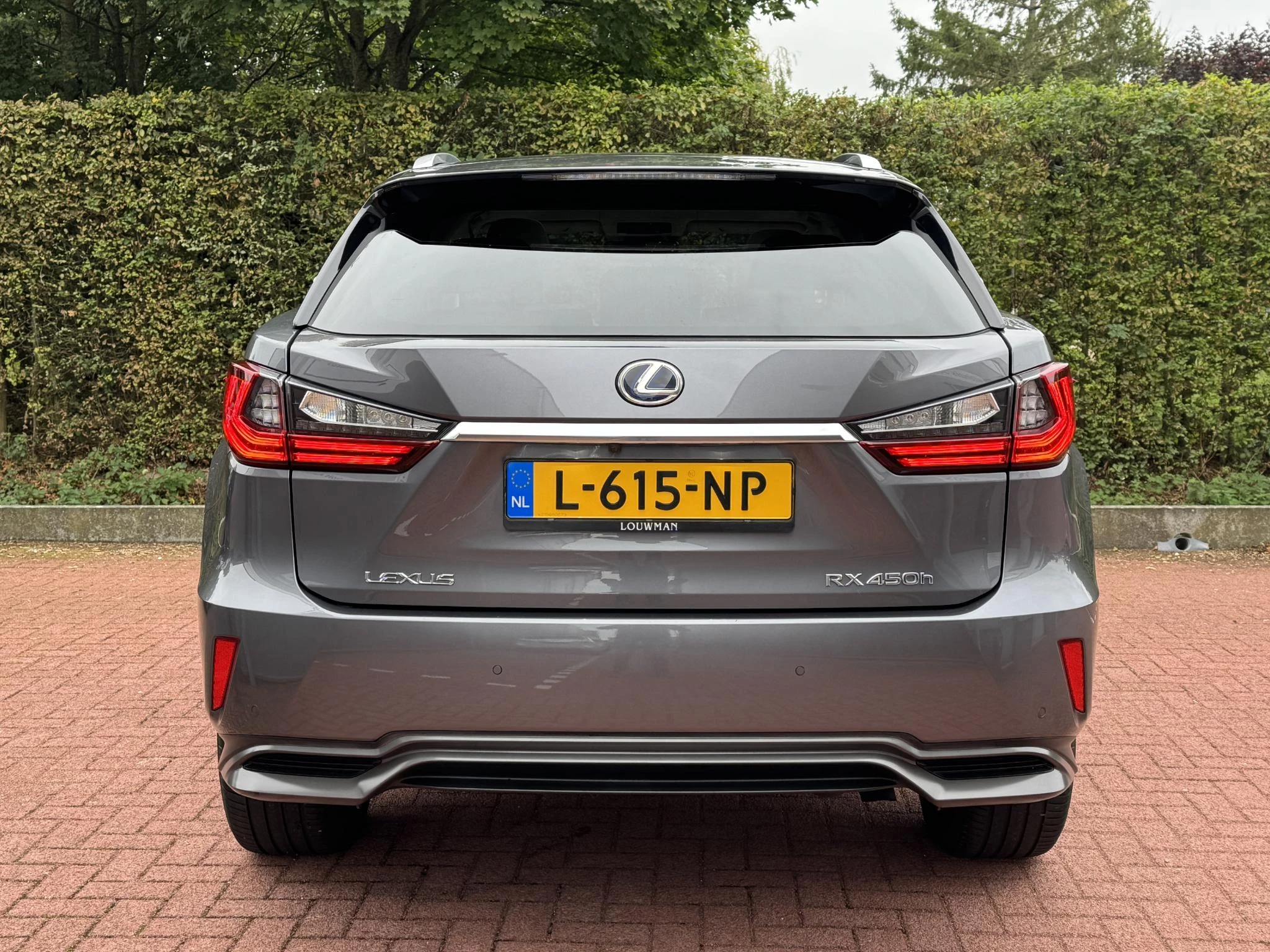 Hoofdafbeelding Lexus RX