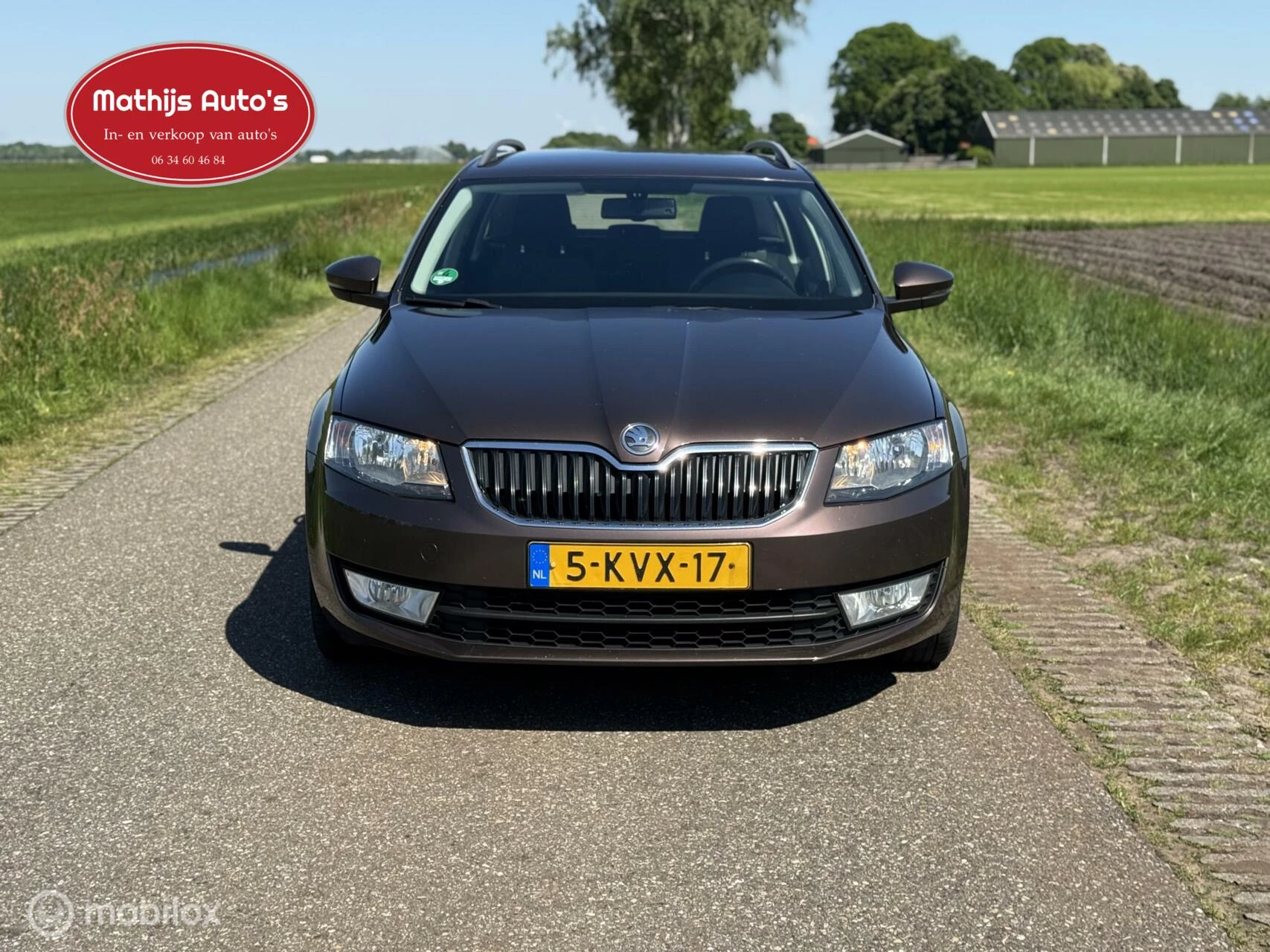 Hoofdafbeelding Škoda Octavia