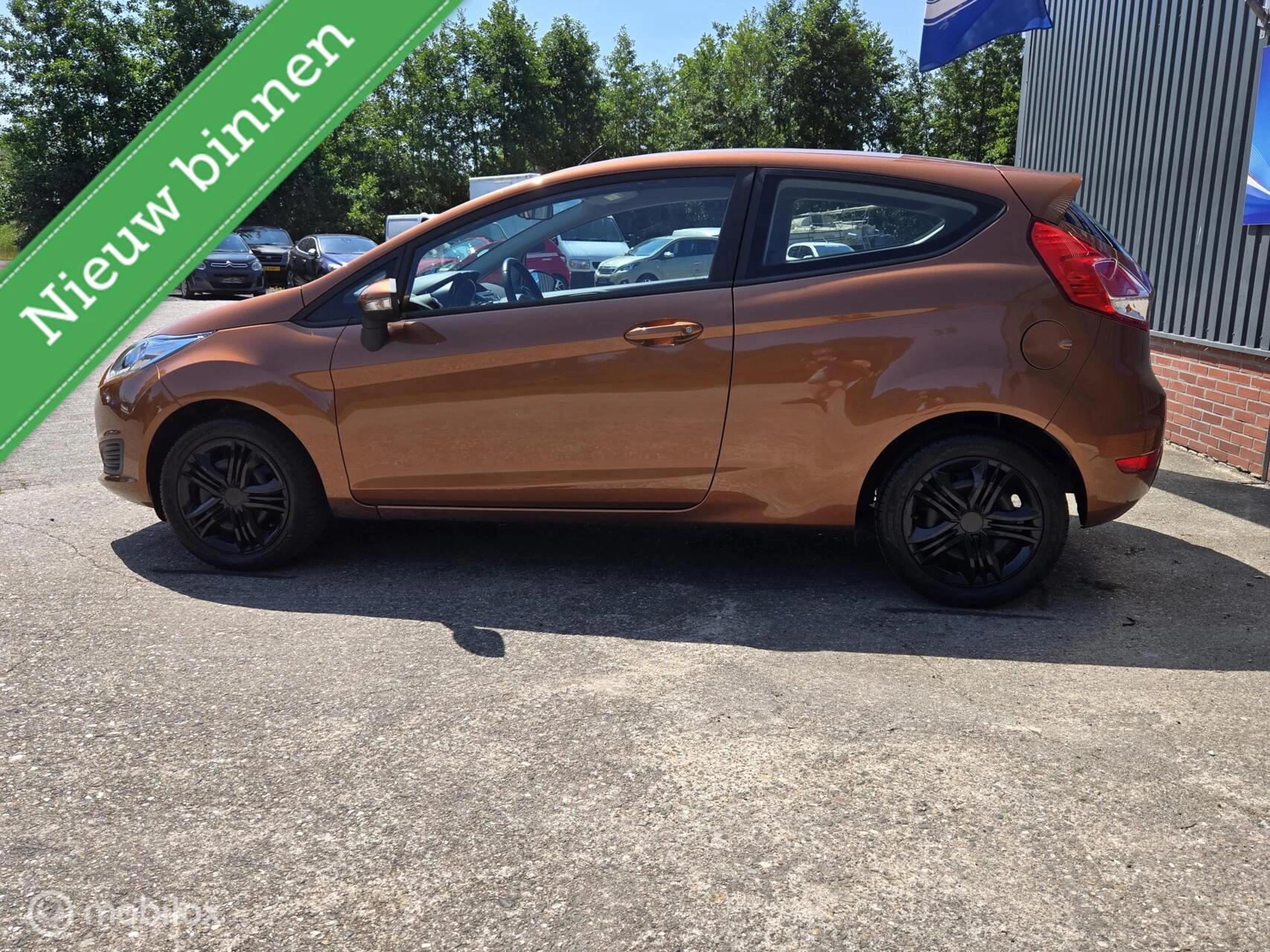 Hoofdafbeelding Ford Fiesta