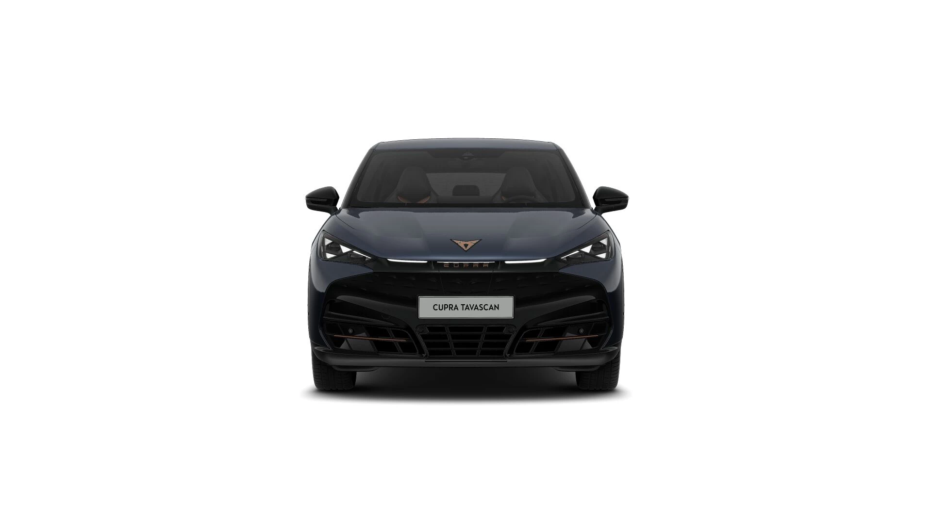 Hoofdafbeelding CUPRA Tavascan