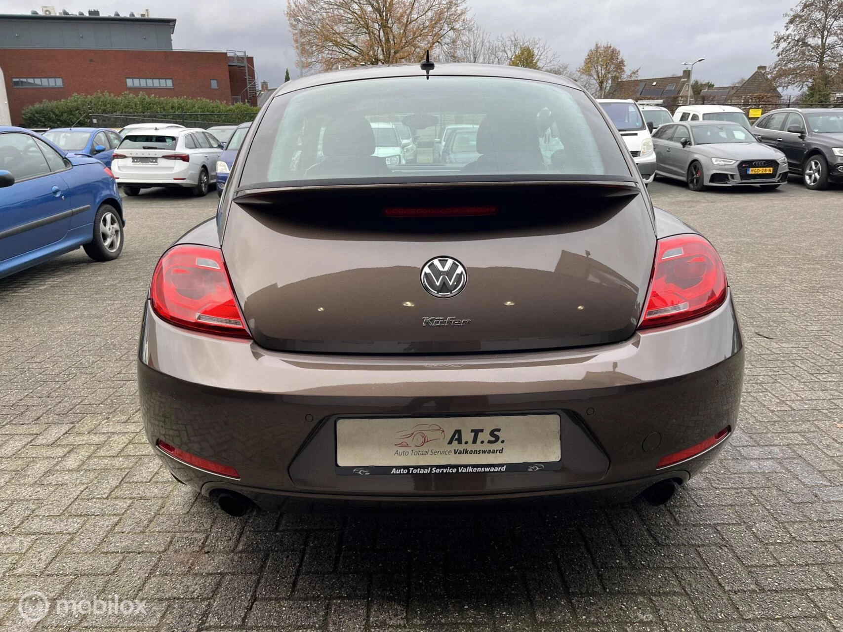 Hoofdafbeelding Volkswagen Beetle