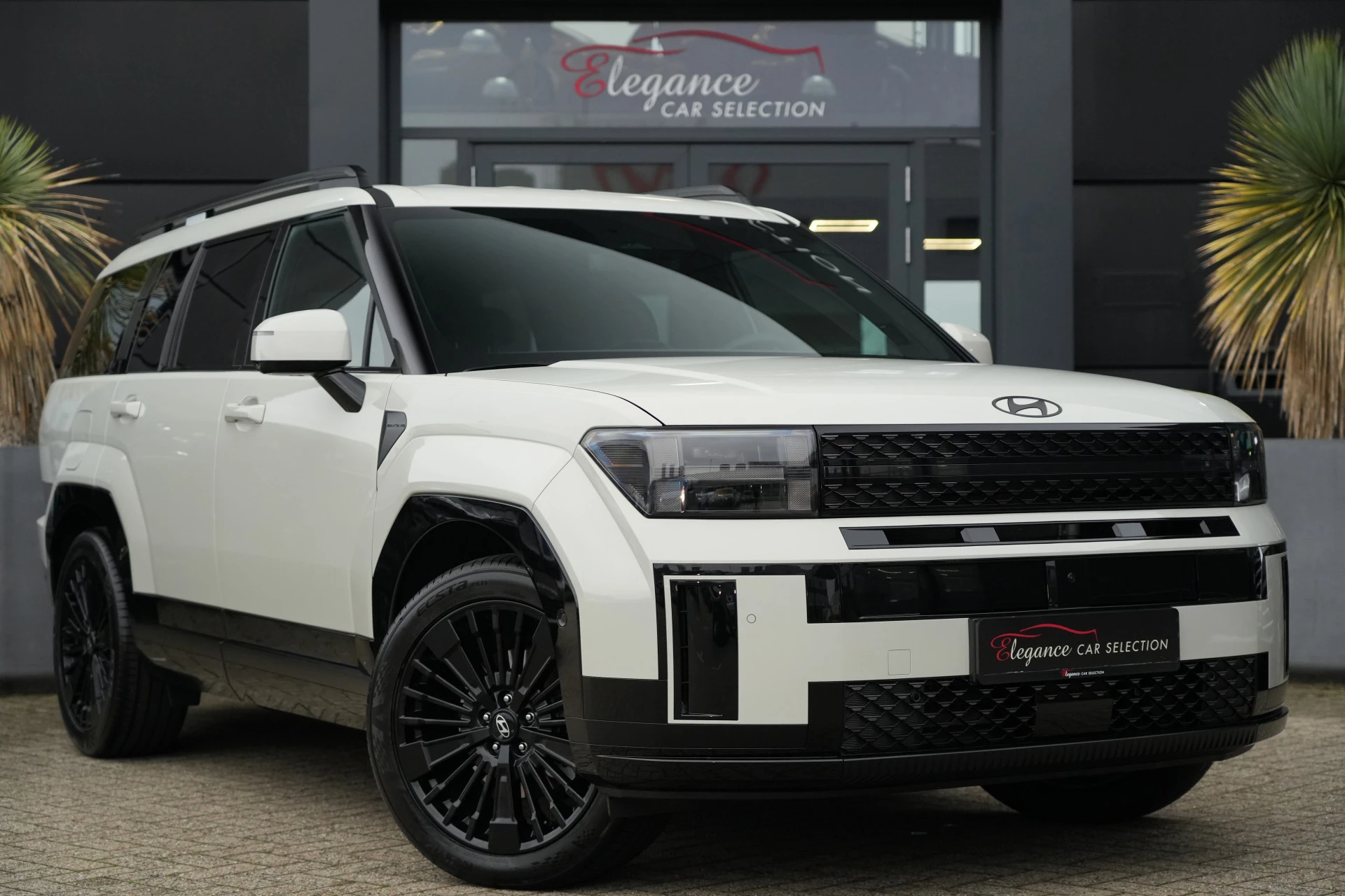 Hoofdafbeelding Hyundai Santa Fe