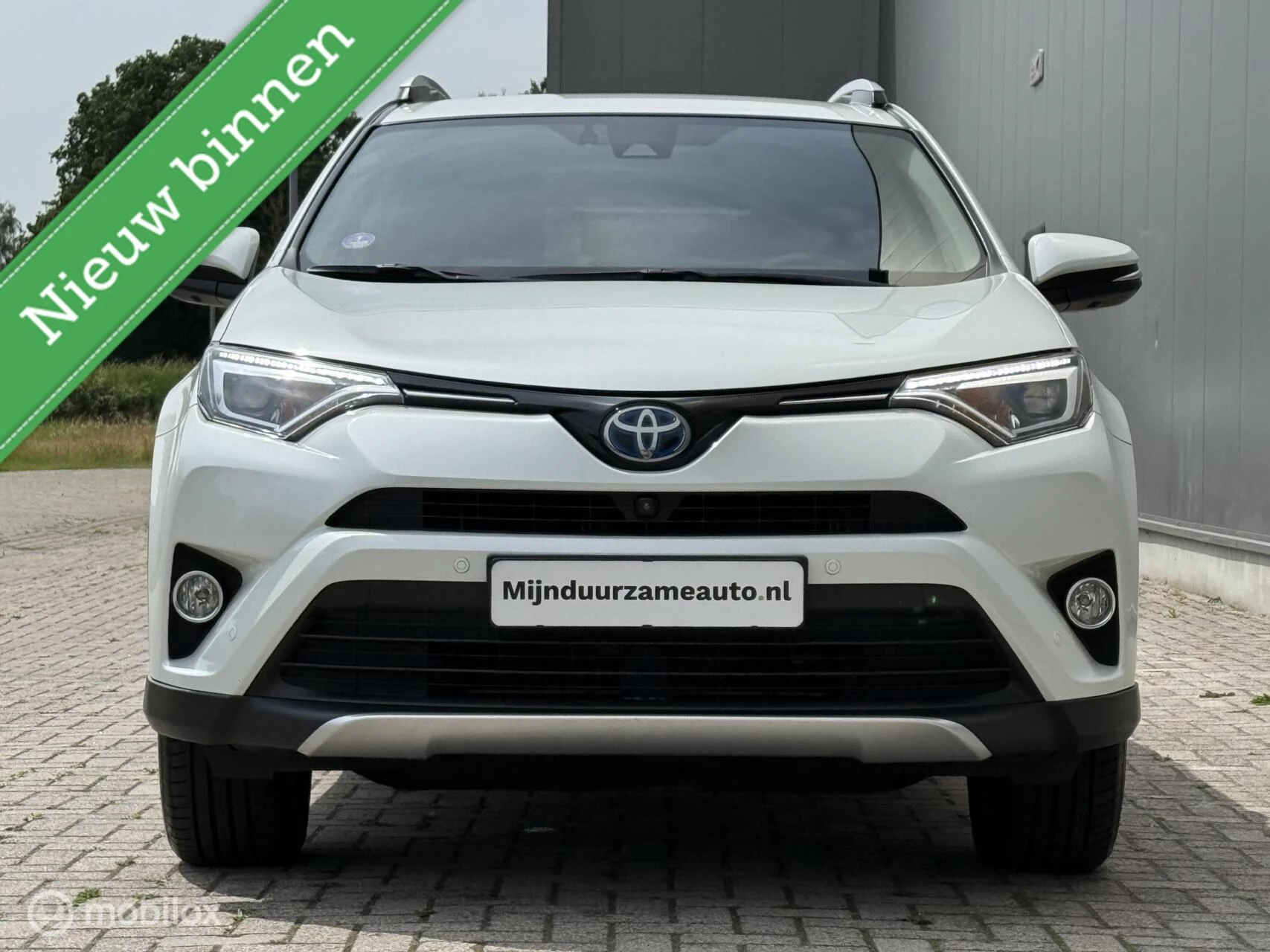 Hoofdafbeelding Toyota RAV4