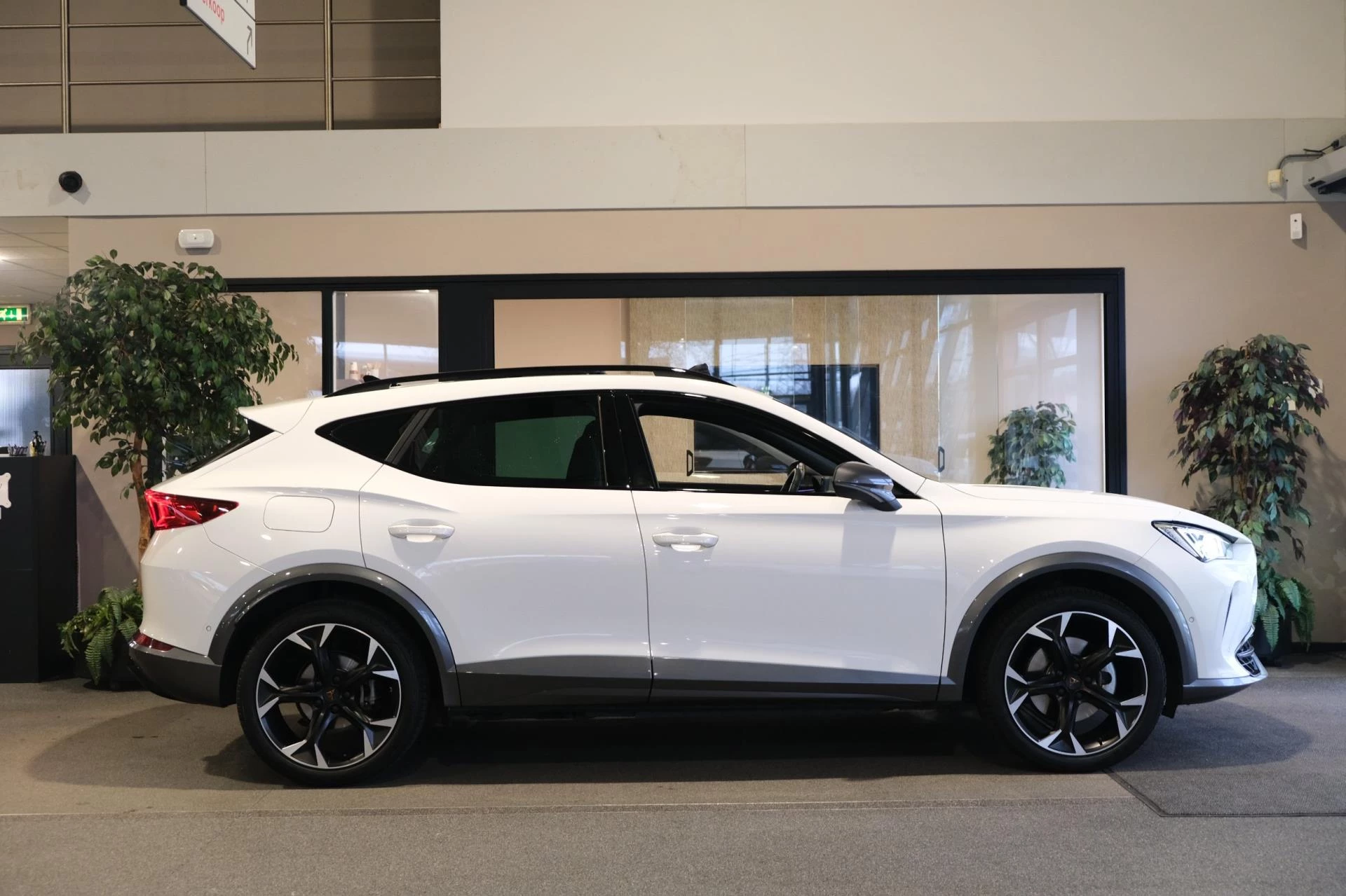 Hoofdafbeelding CUPRA Formentor